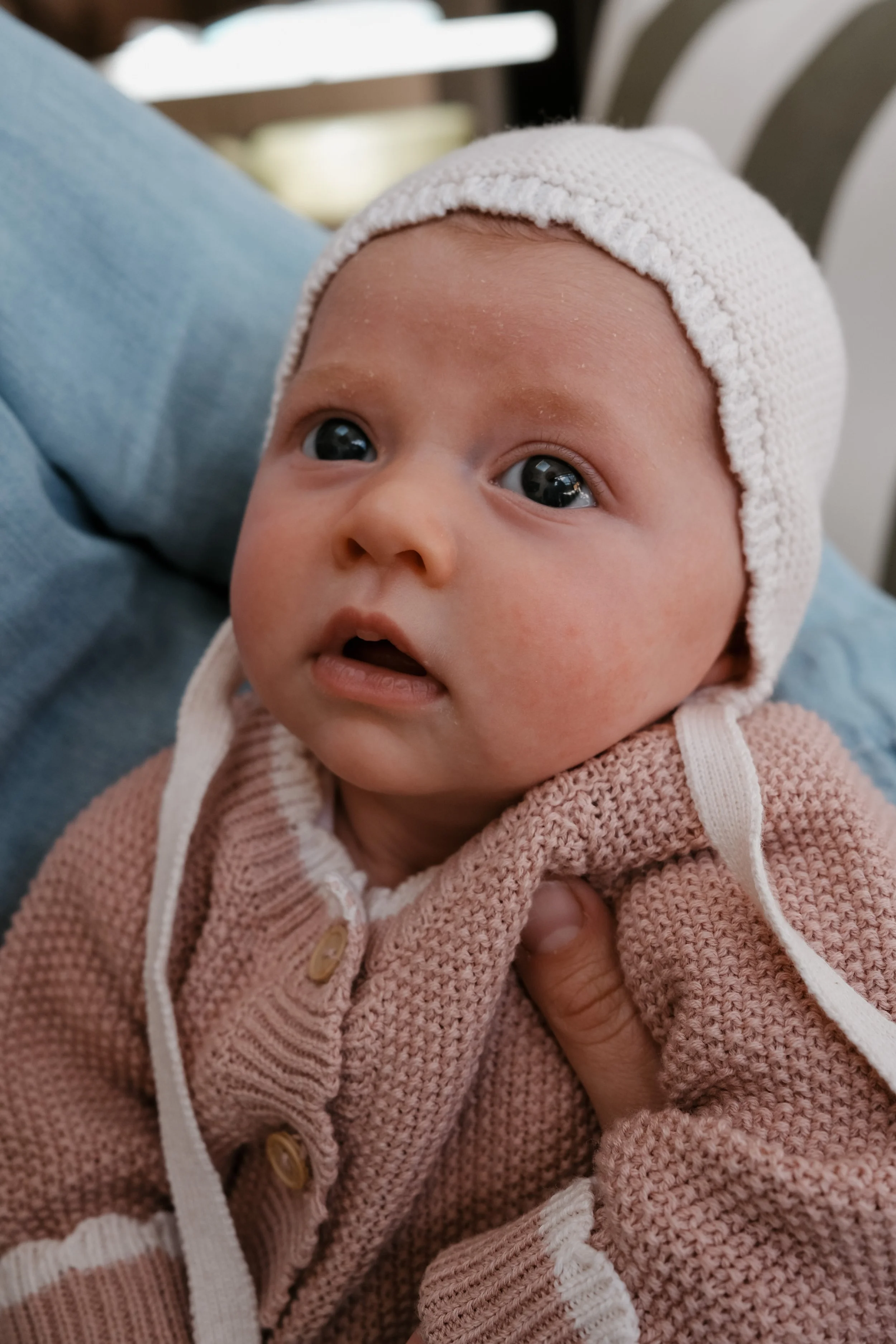 Isabella-003.jpg