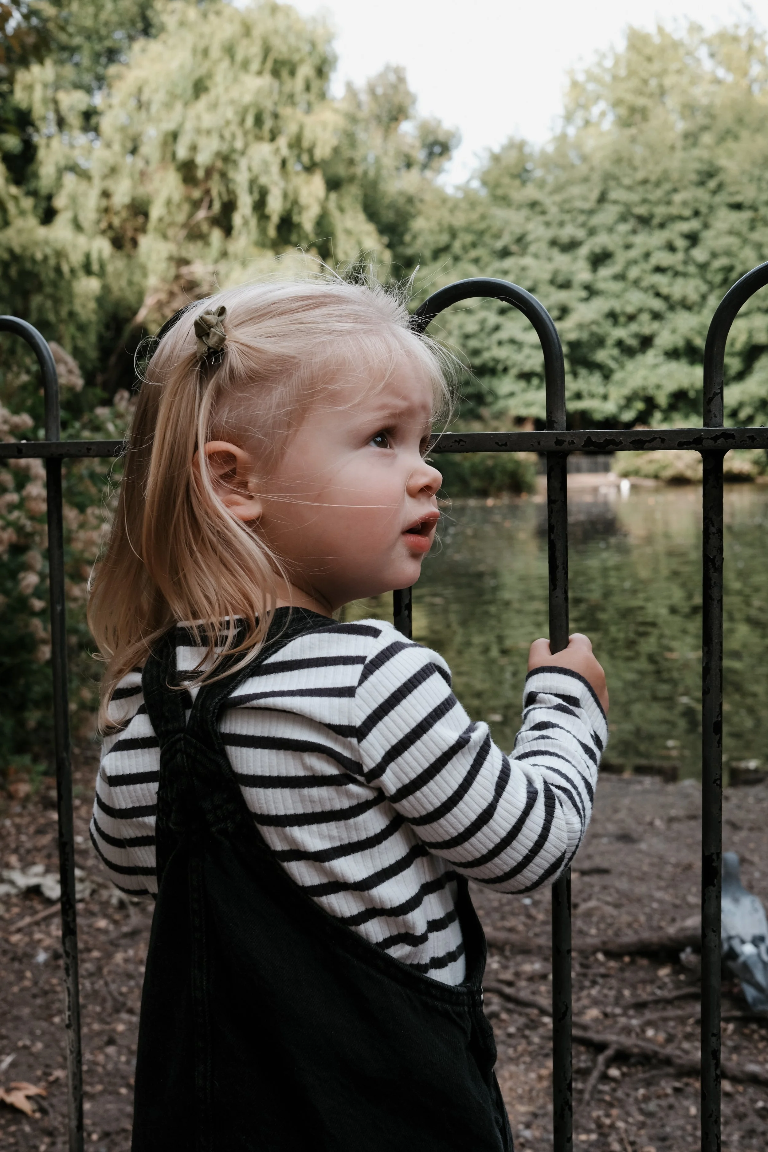 Georgie 2-021.jpg