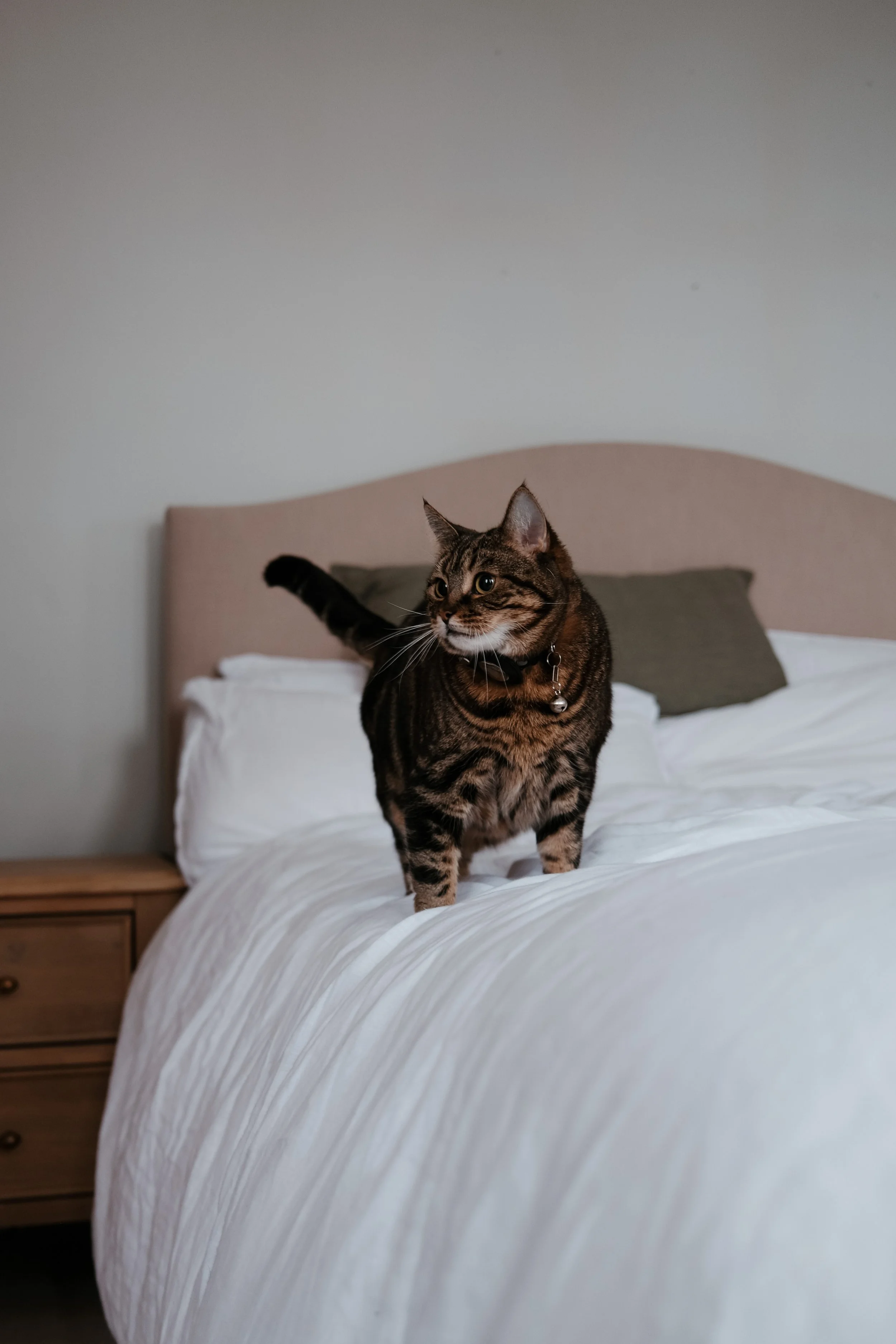 Theo-083.jpg