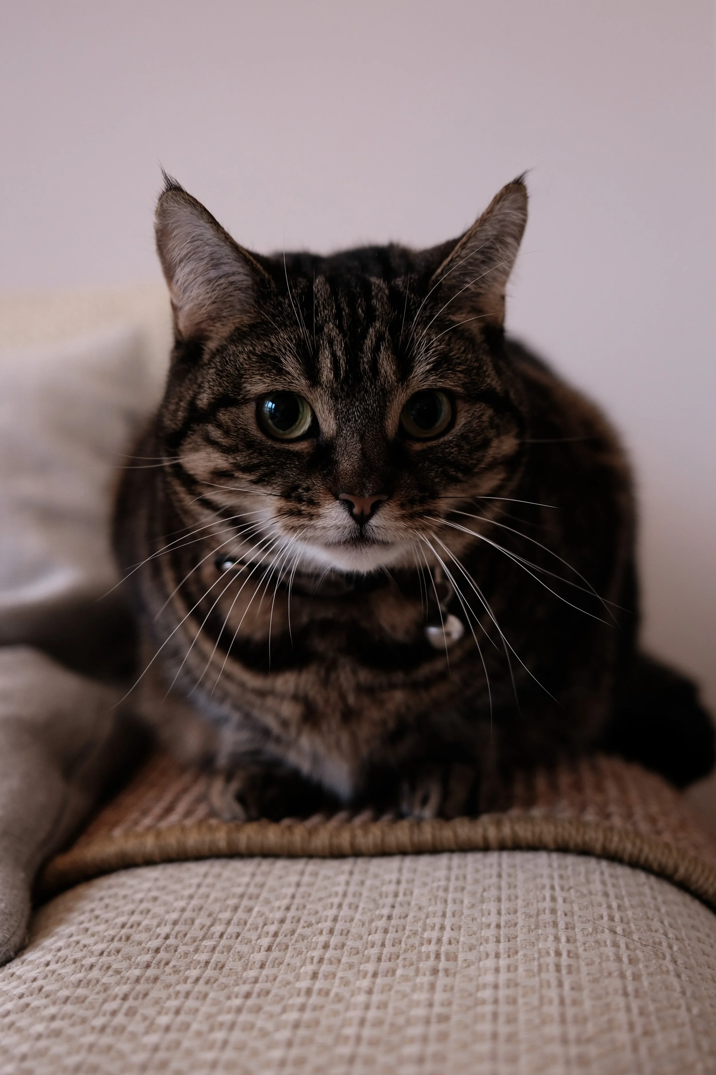 Theo-017.jpg