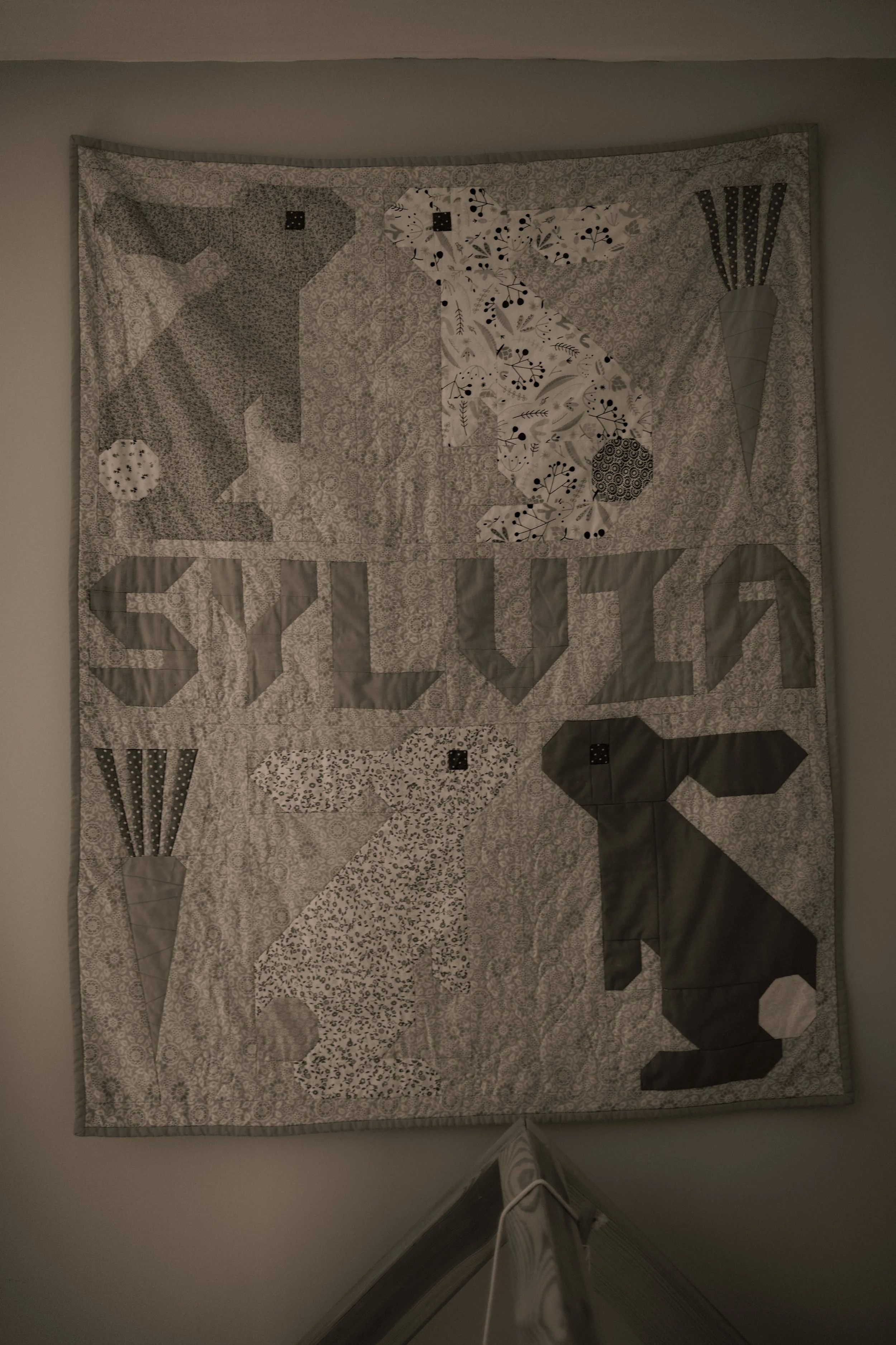 Molly-108.jpg