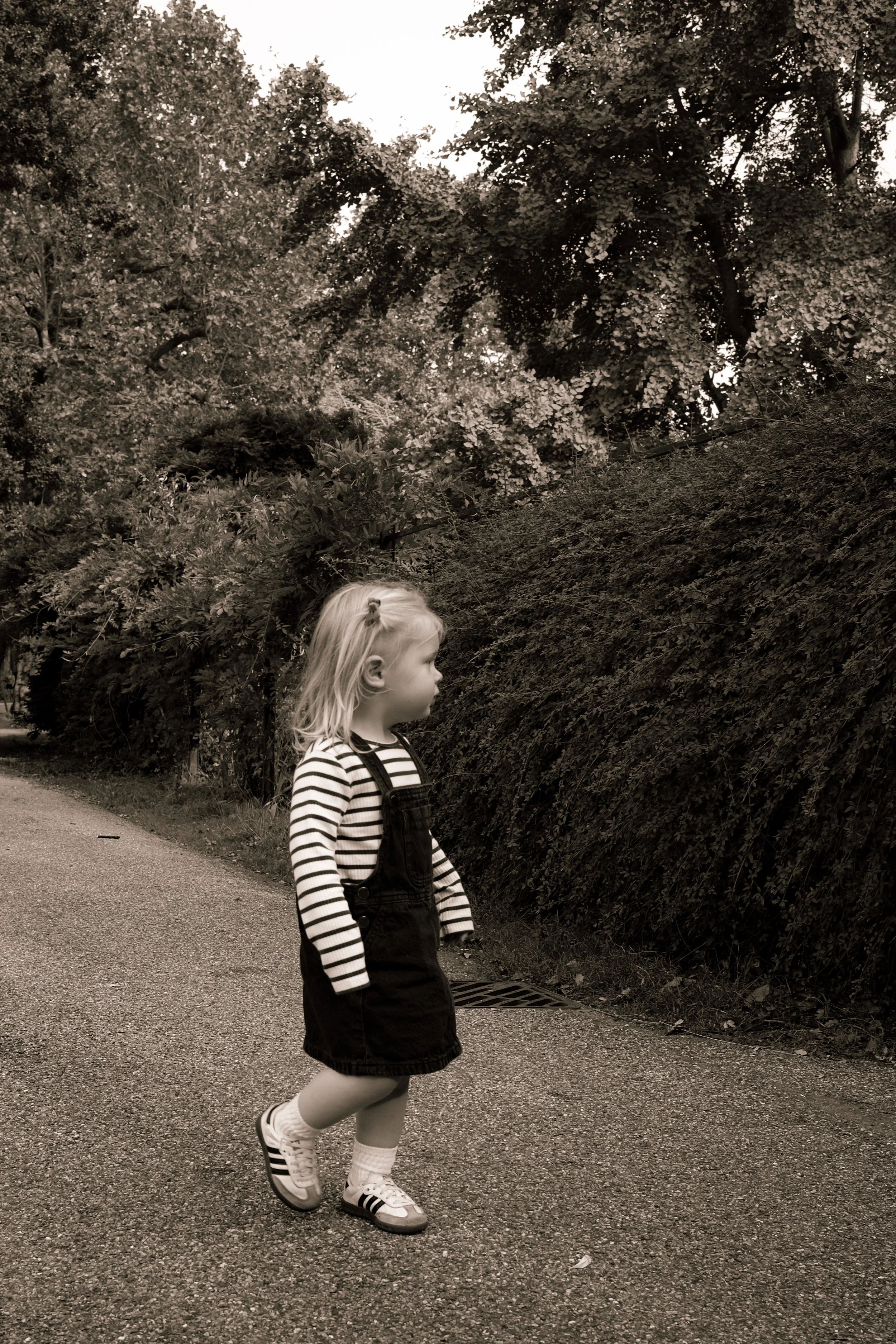 Georgie 2-001.jpg