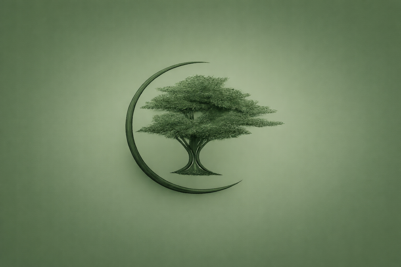 Logo Zahlenraum mit einer Zeder im nach recht halboffenen Raum in verschiedenen Grüntönen.