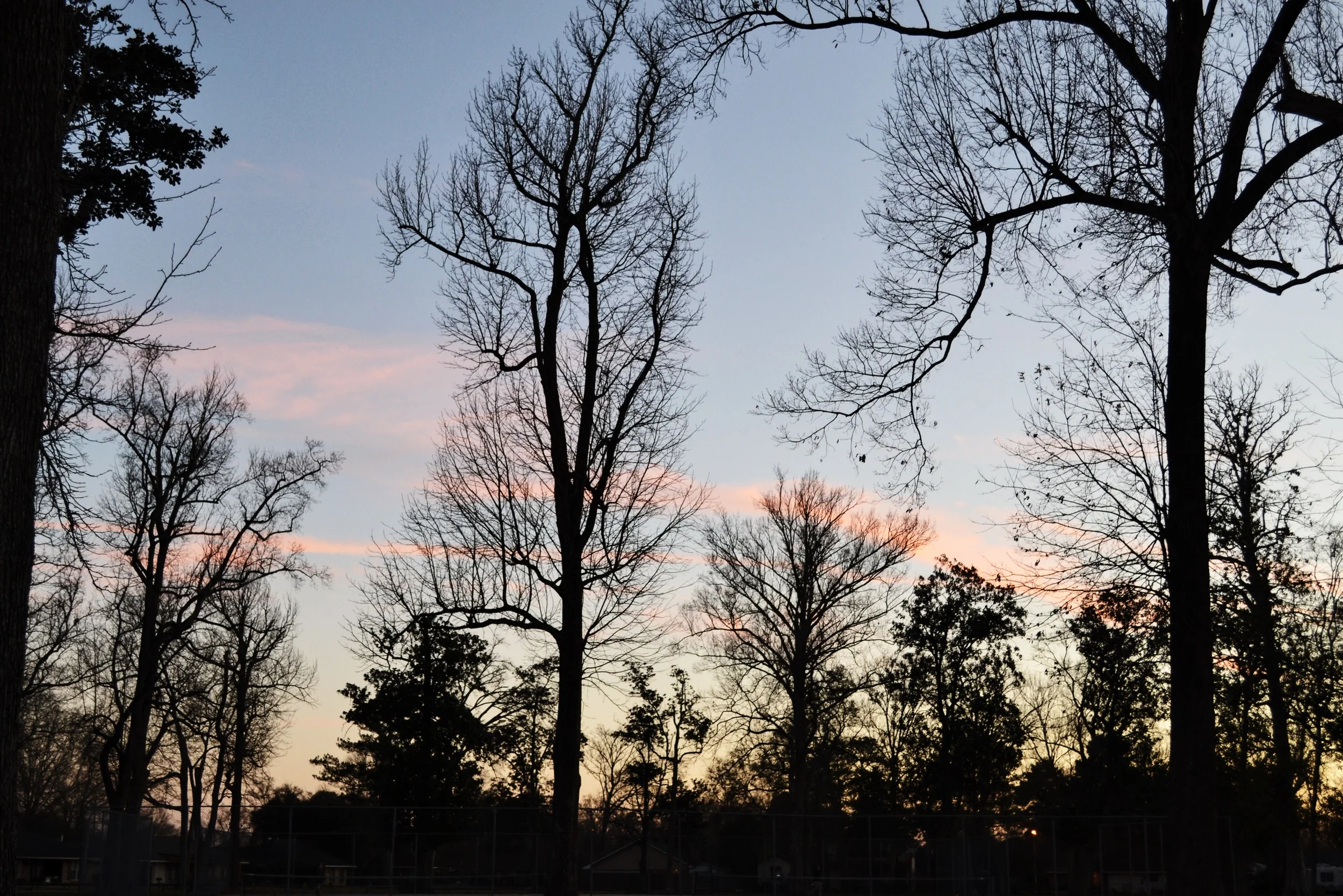 cotton candy skies