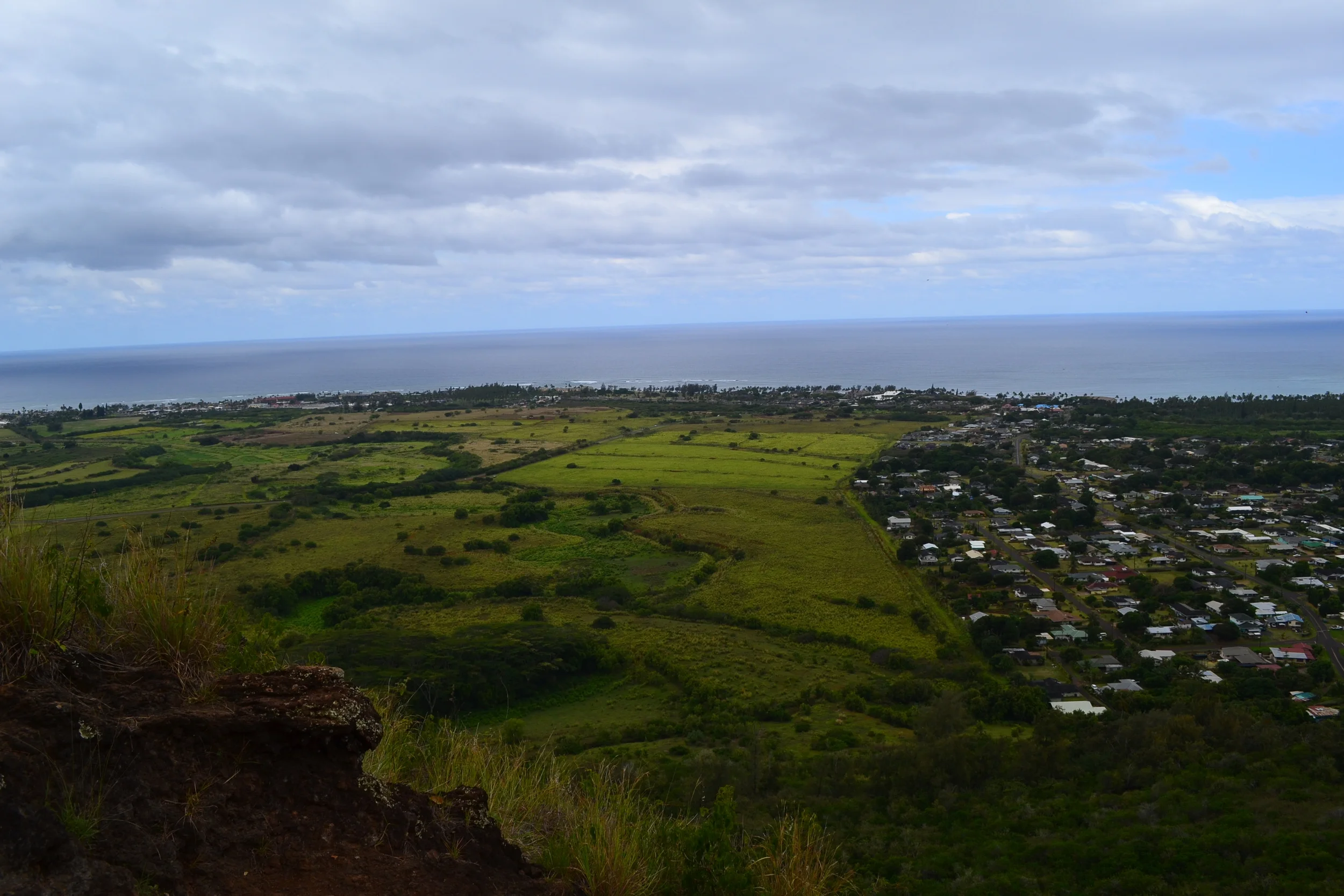 i took this mid-hike