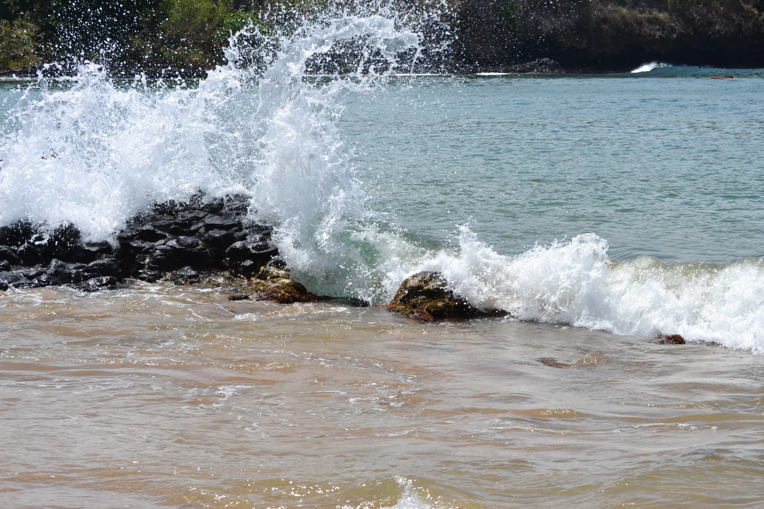 splish splash