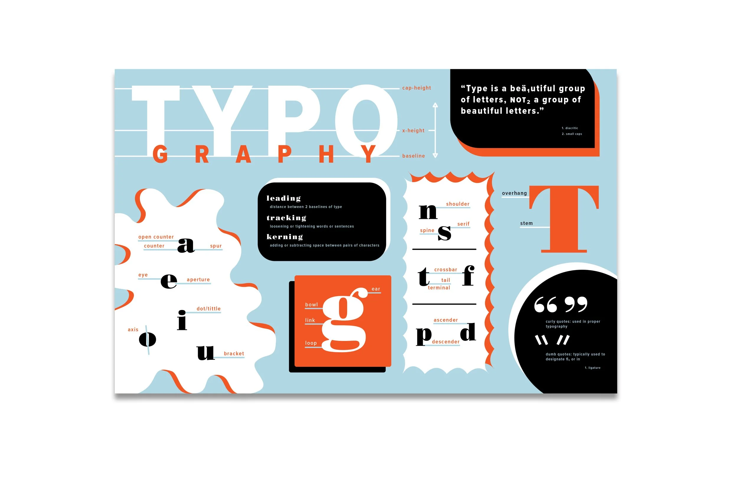 TYPOgraphy infographic
