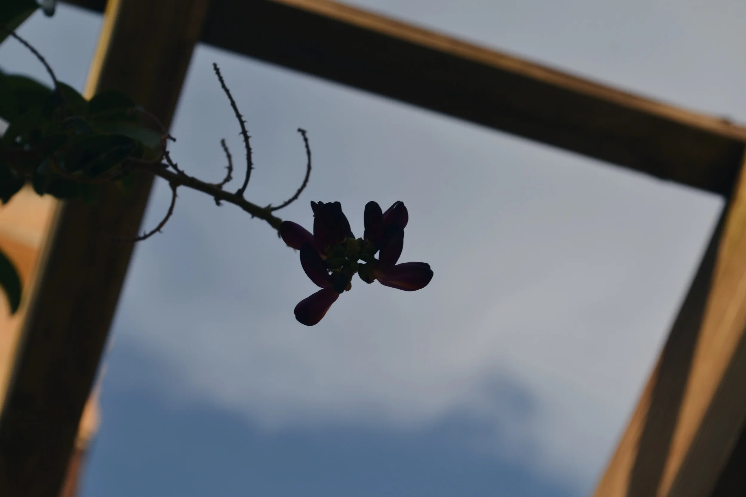 2015-07-22 14.16.10.jpg