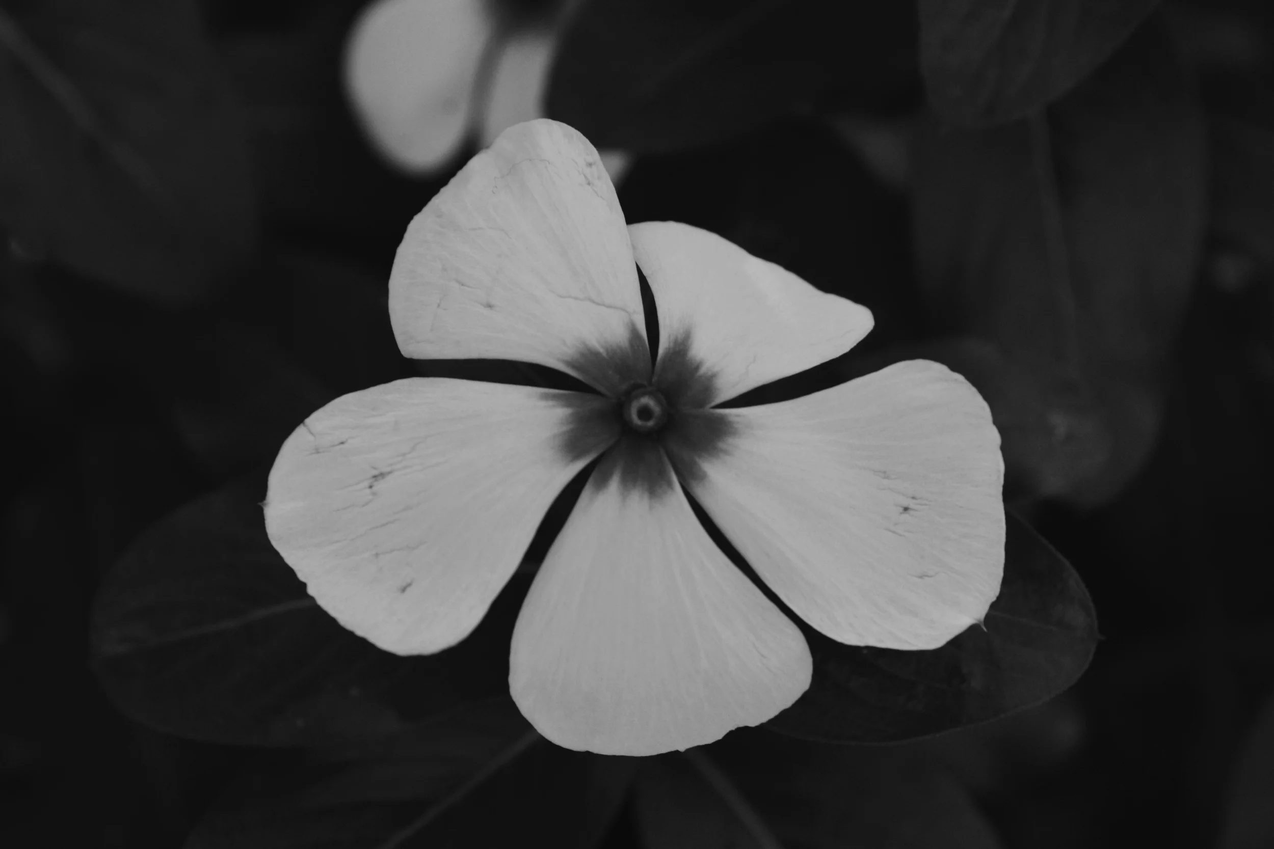 2015-07-22 14.16.17.jpg