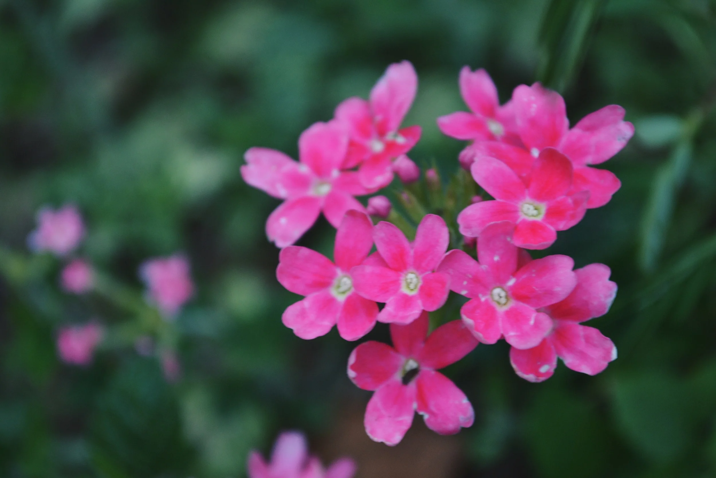 2015-07-22 14.05.24.jpg