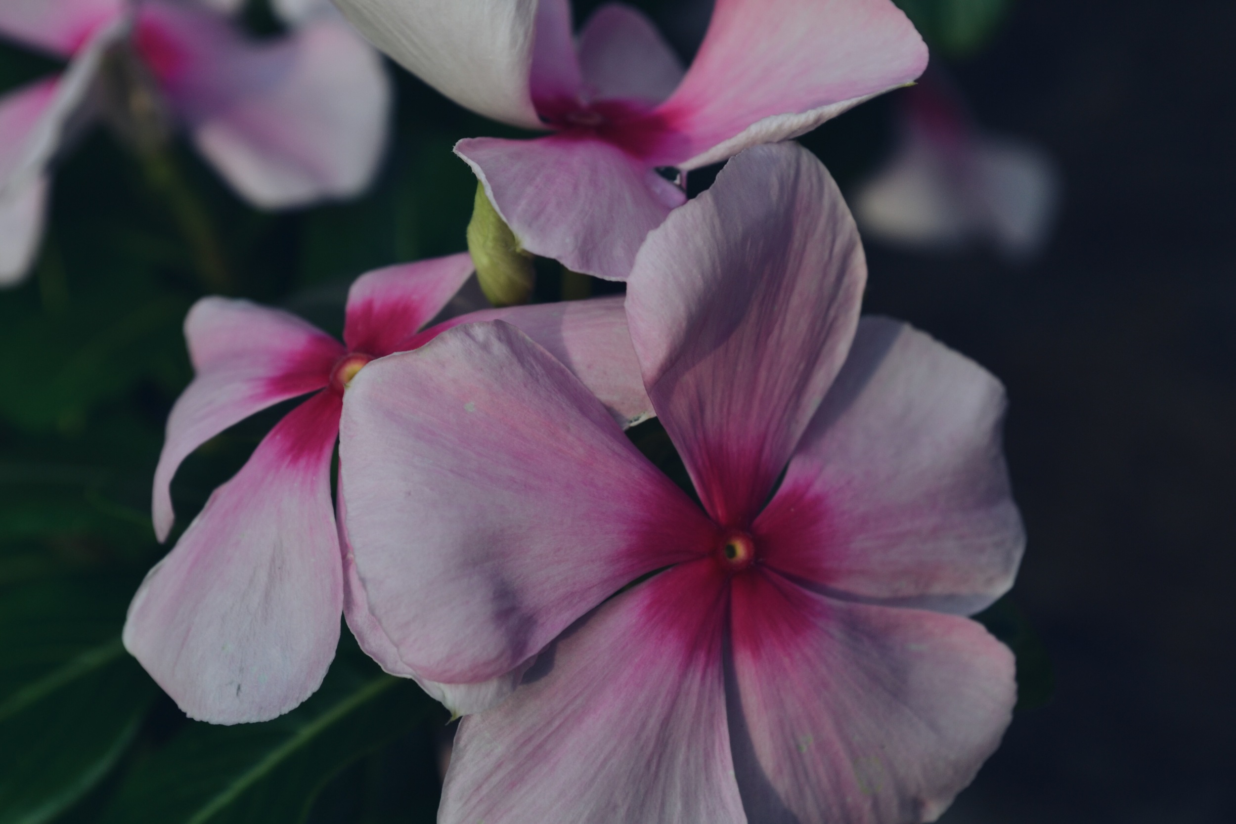 2015-07-22 14.15.33.jpg