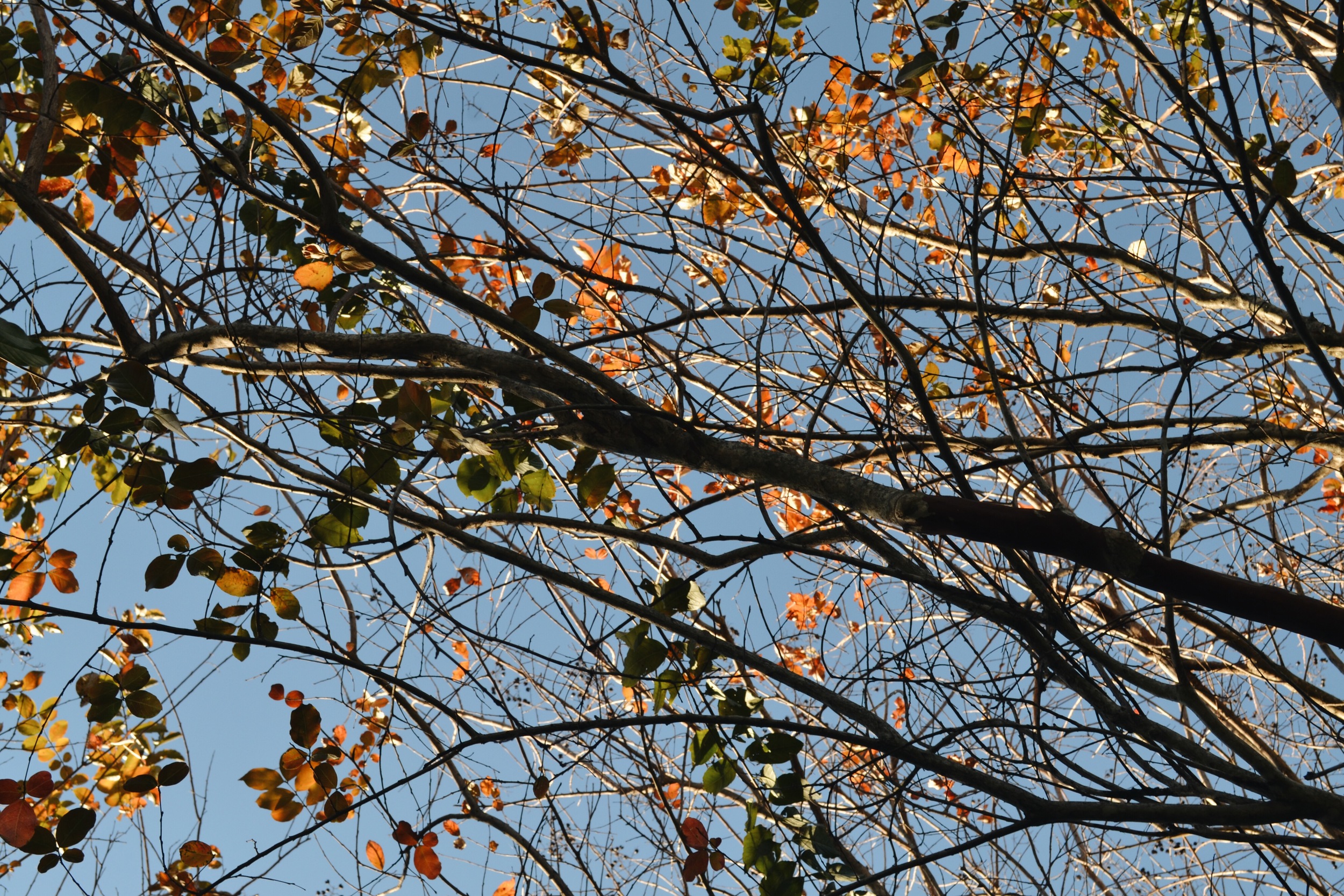 oh my goodness look at these colors pt.2