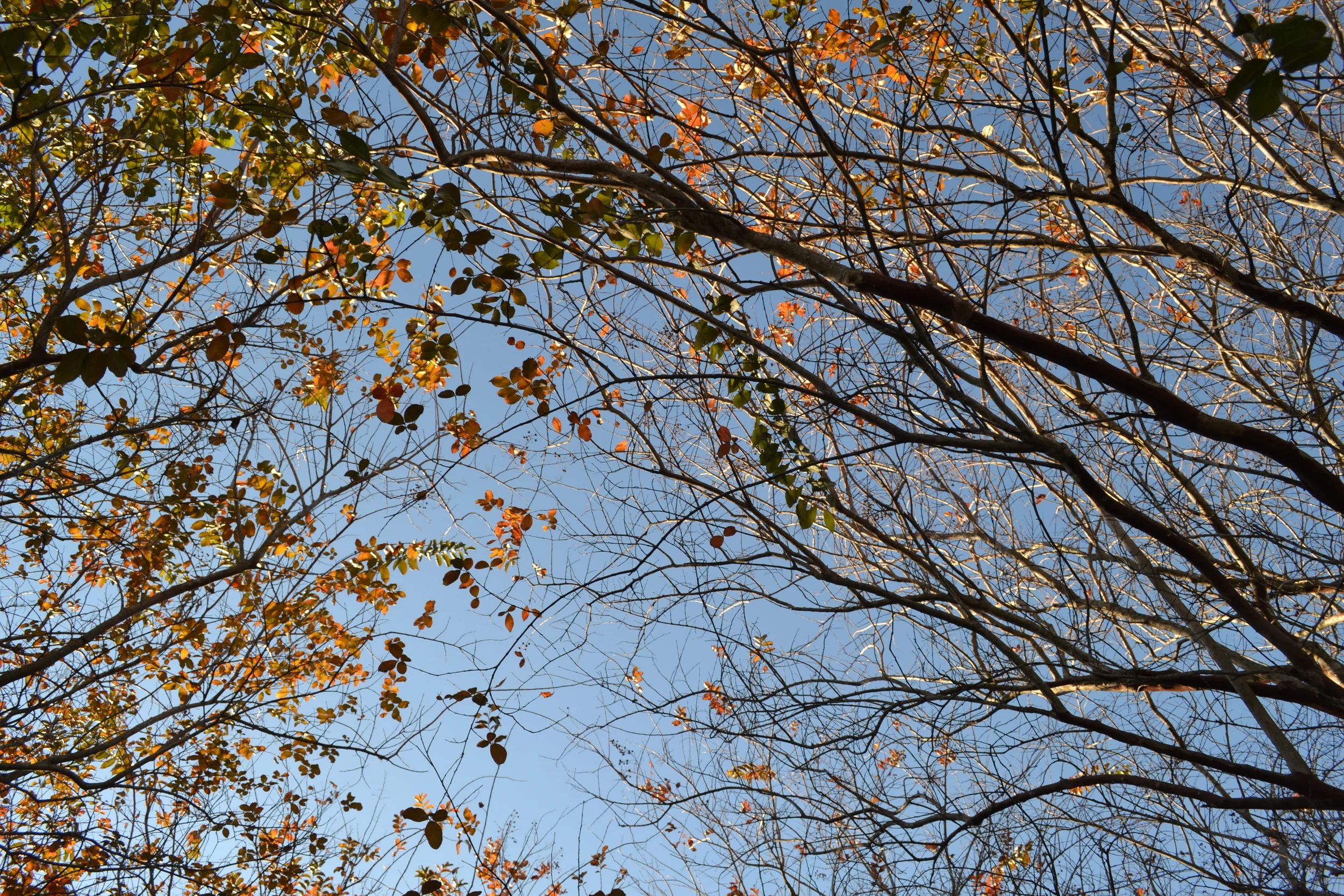 oh my goodness look at these colors