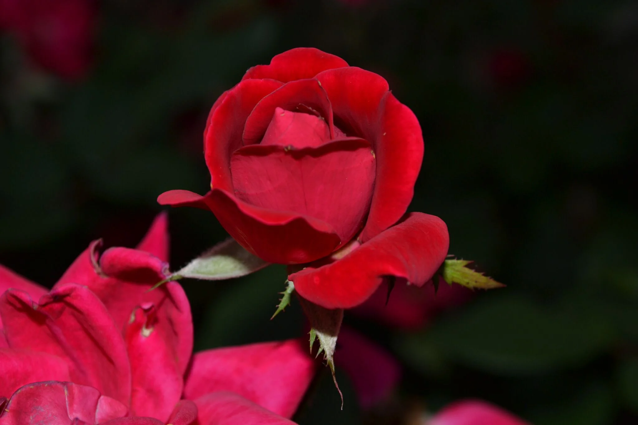 Photo May 07, 10 24 15 PM.jpg