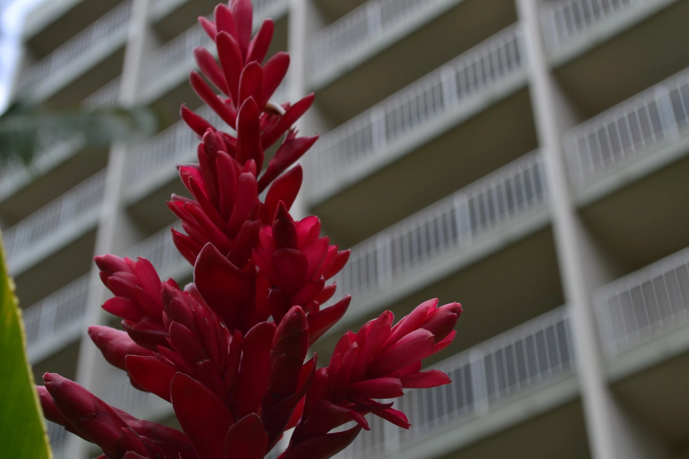 Photo May 25, 2 19 36 PM.jpg