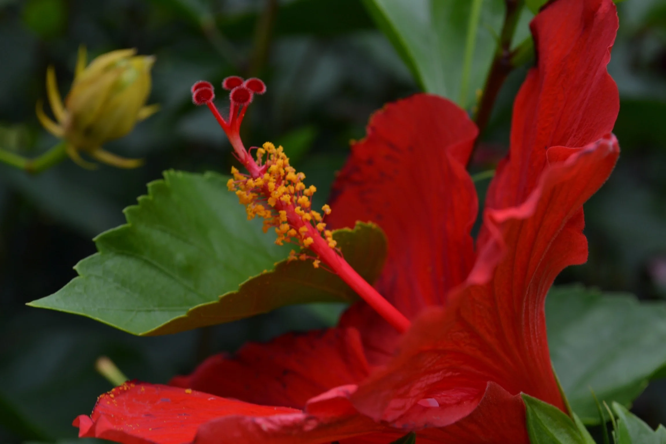 Photo May 25, 2 24 13 PM.jpg