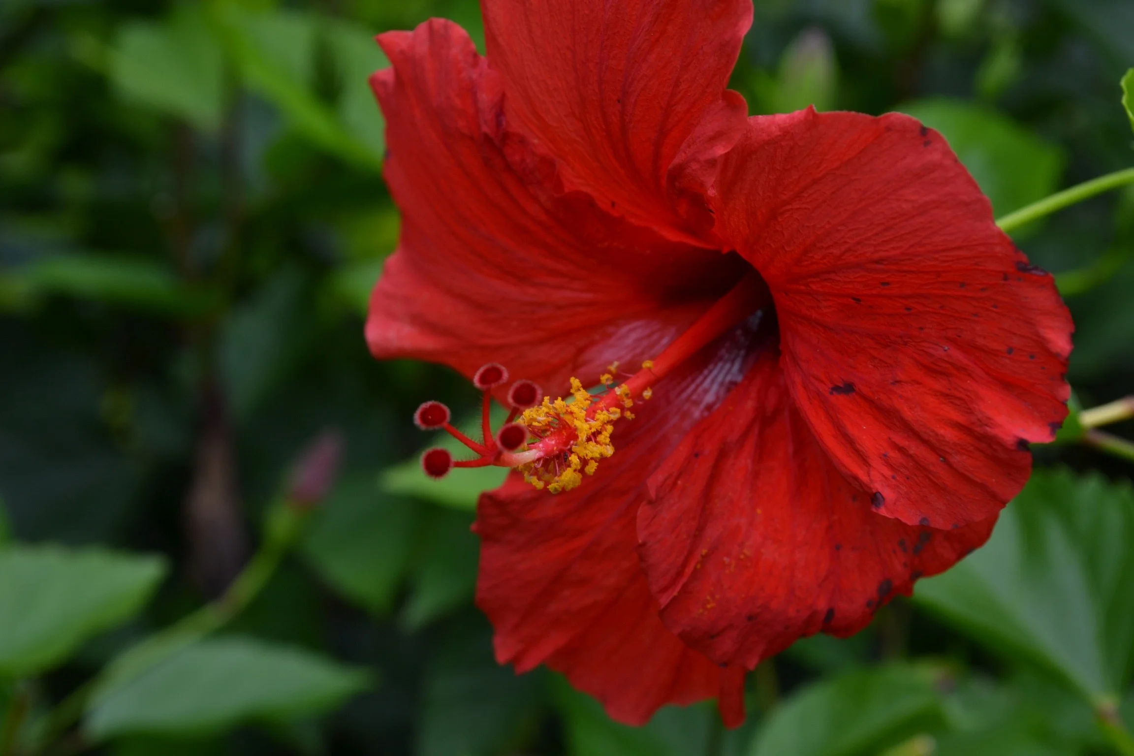 Photo May 25, 2 26 11 PM.jpg