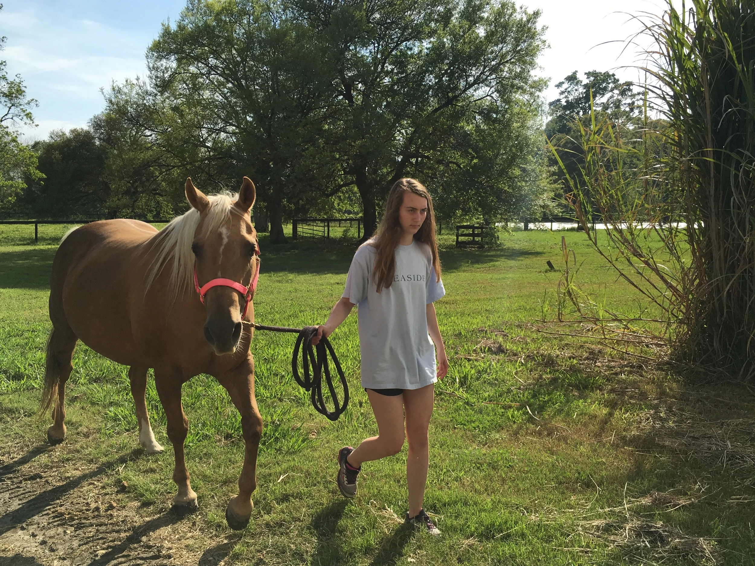 a girl and her horse