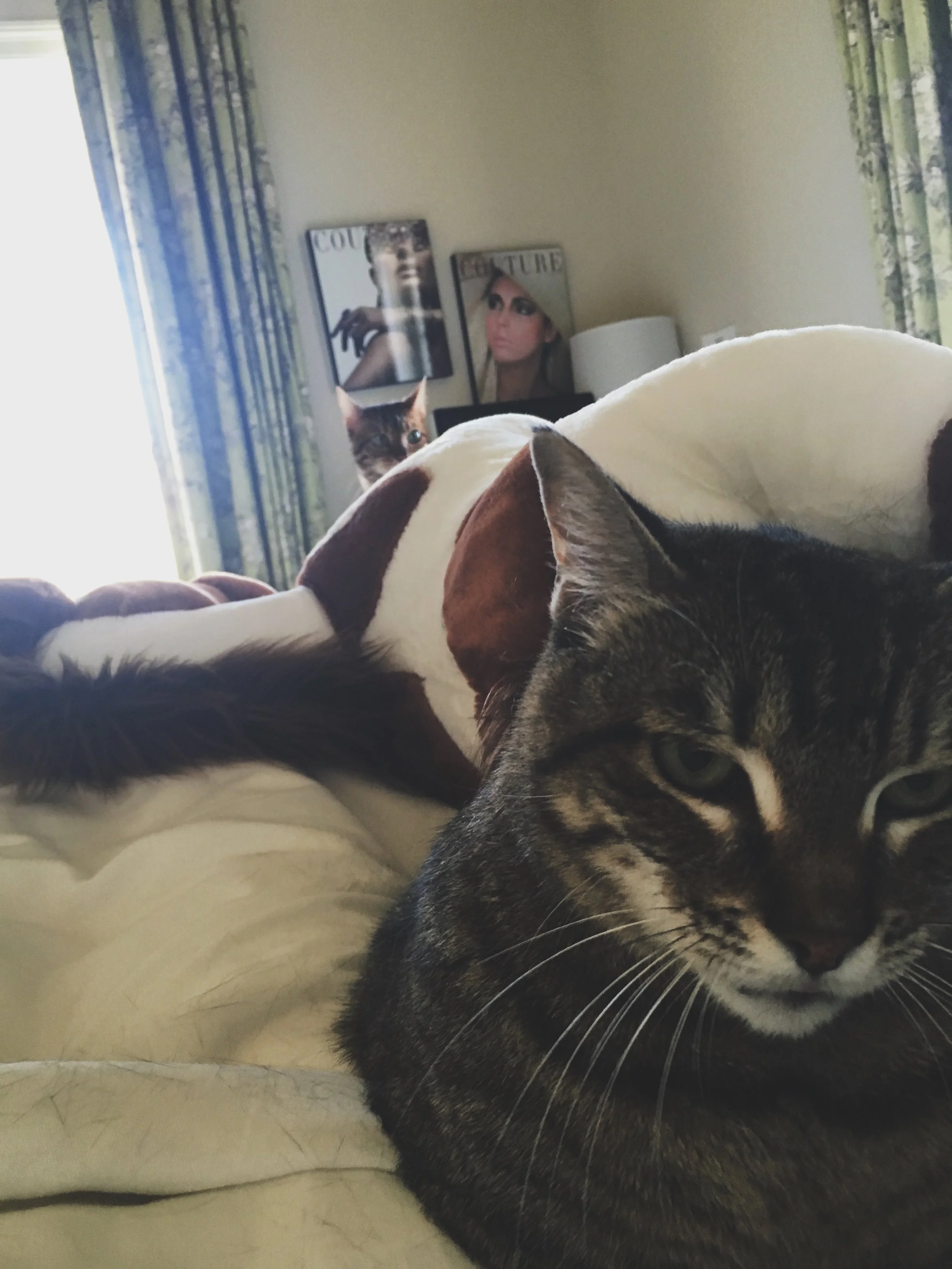 molly + zoe