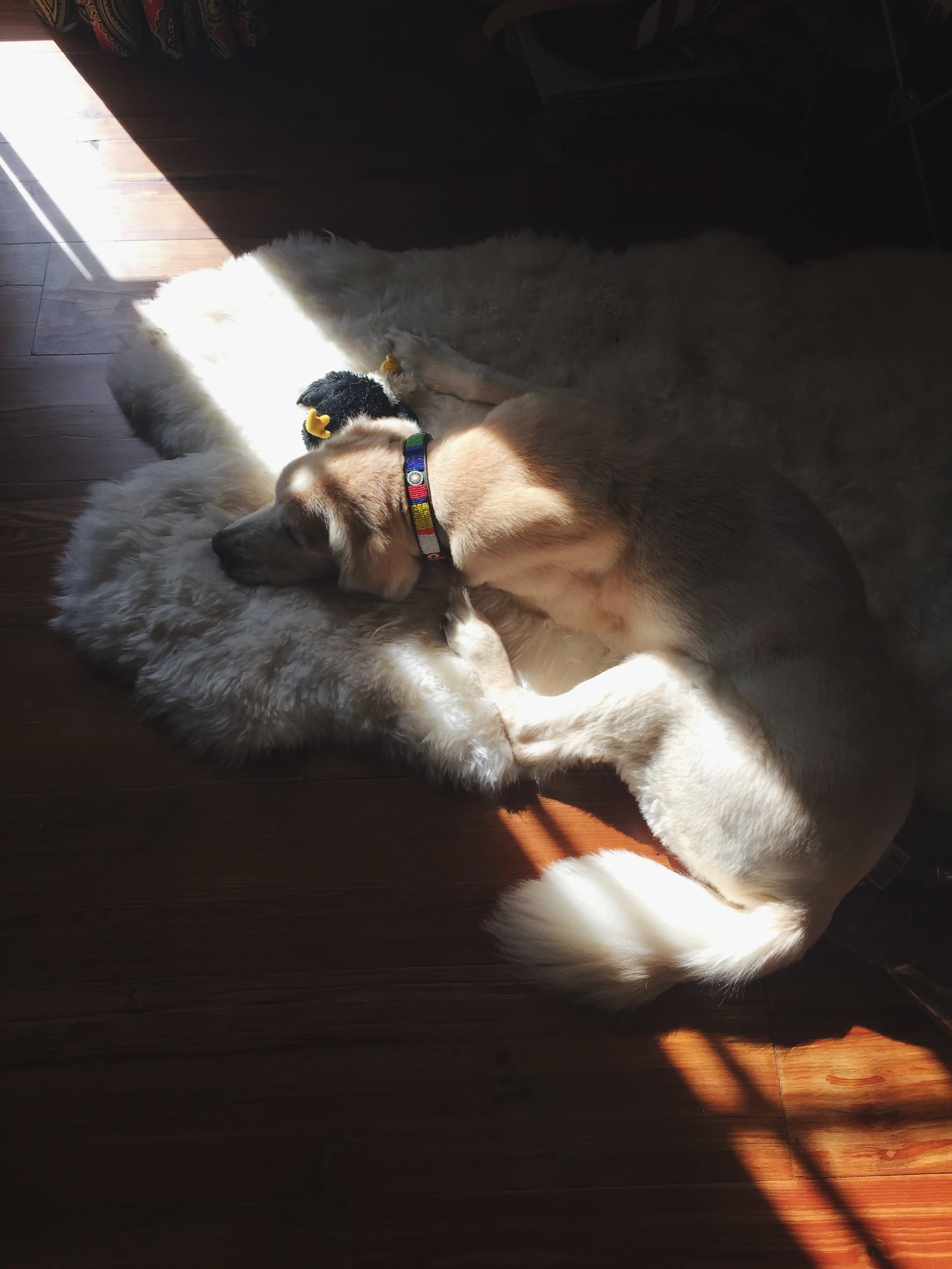 a sleepy buddy
