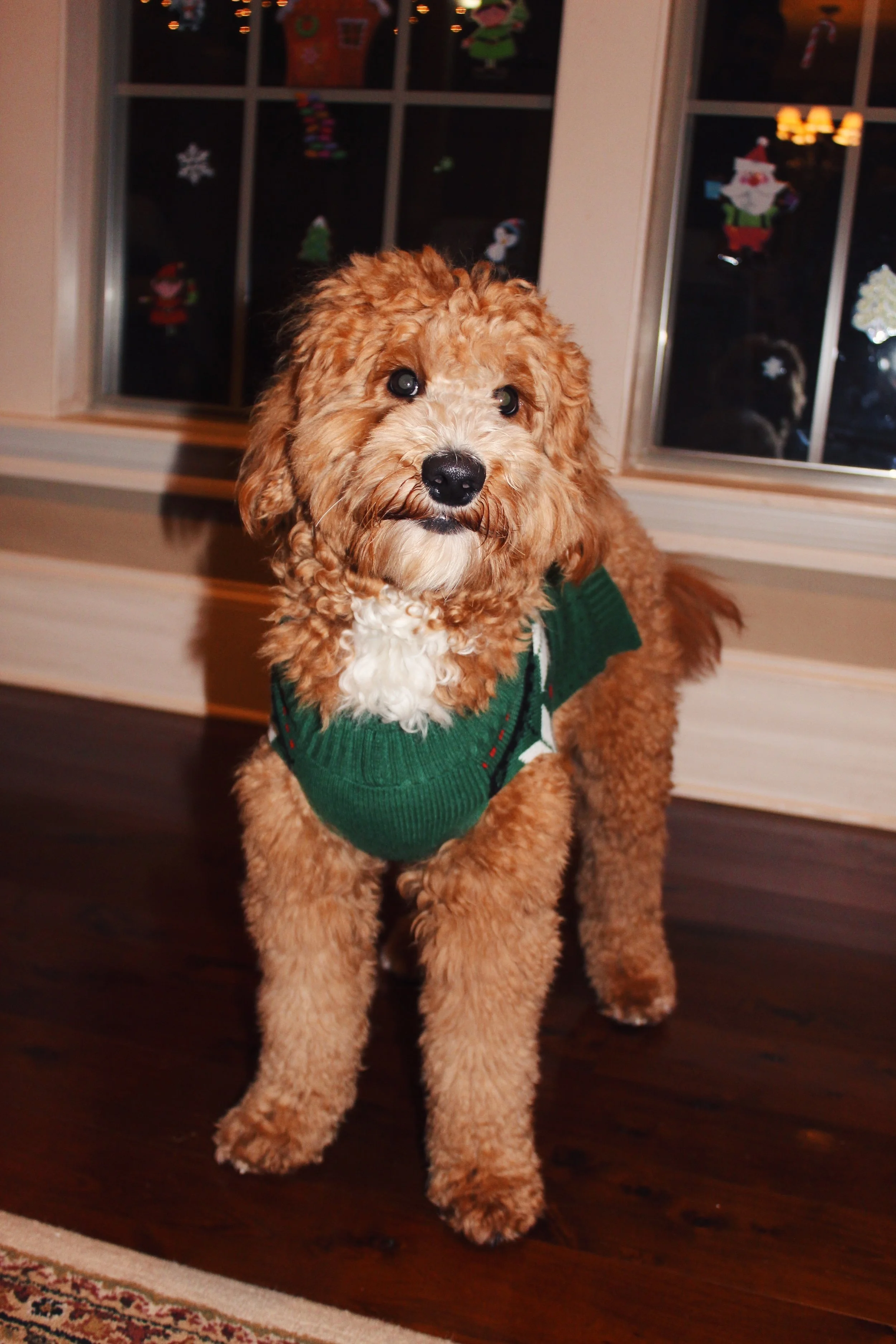 5A544843-2A09-4281-8799-881BC01C9A7C.jpg