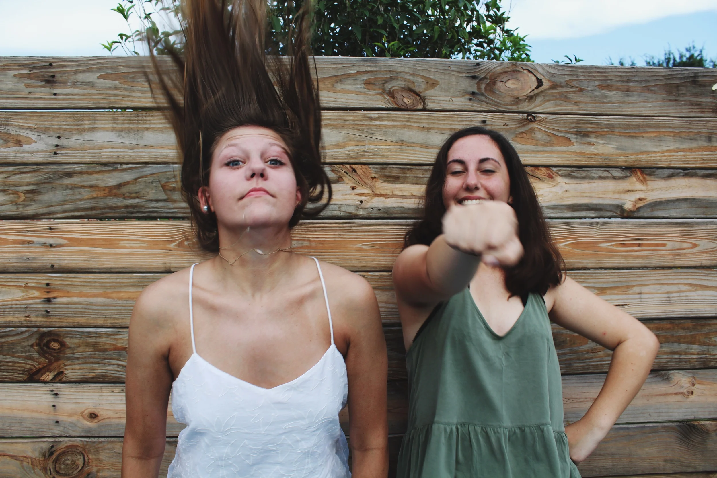whip it