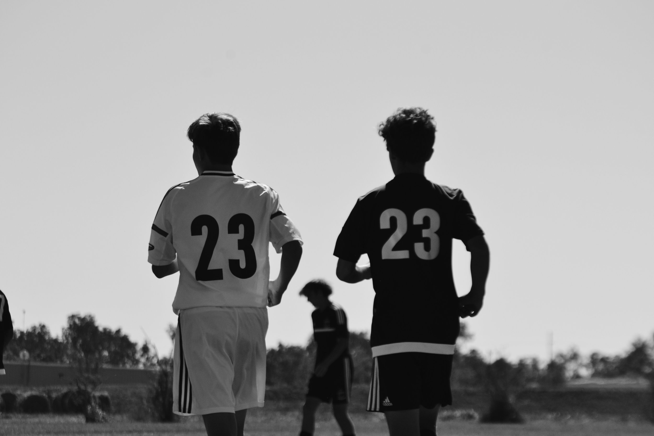 23