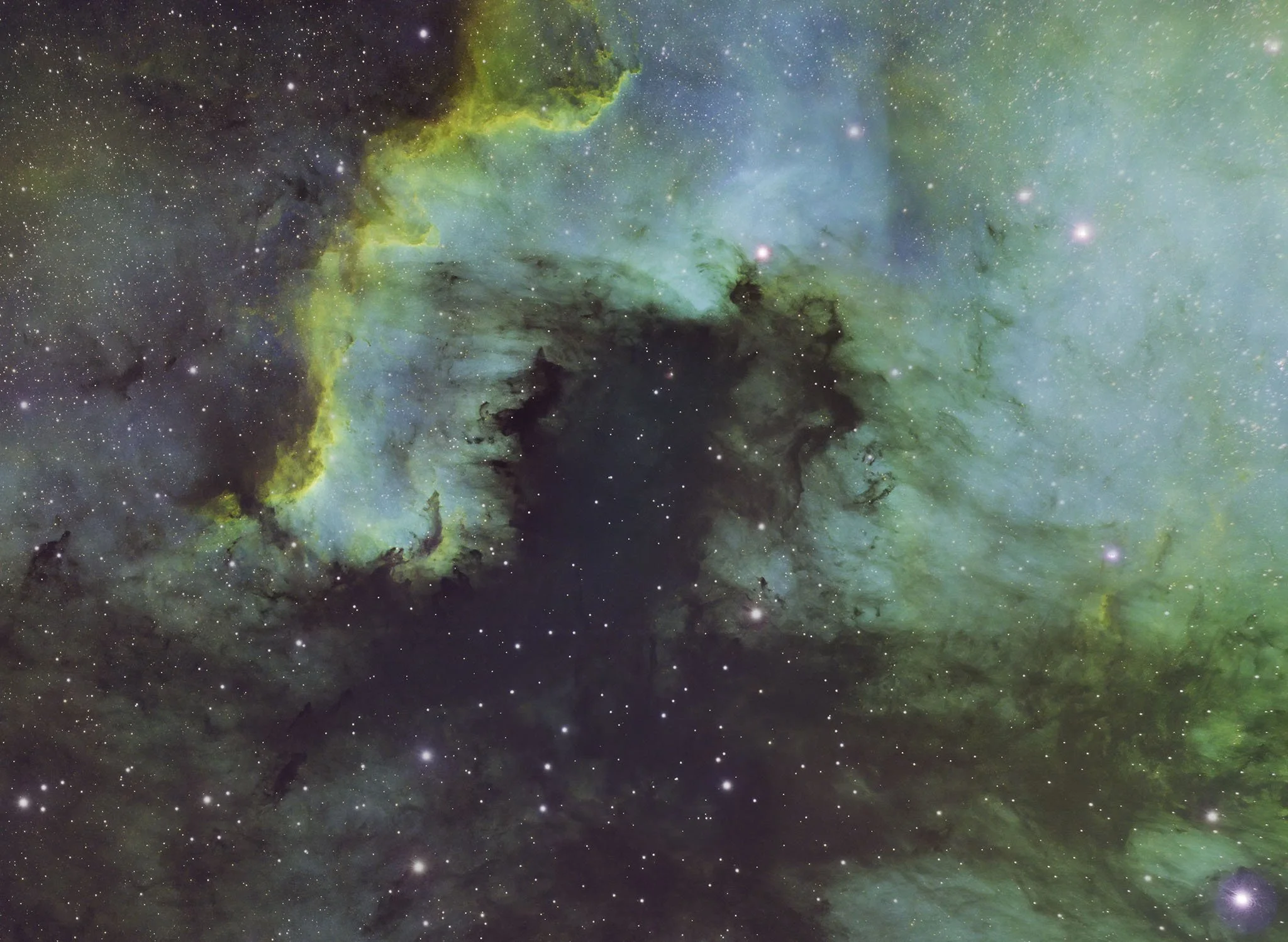 The Cygnus Wall in SHO