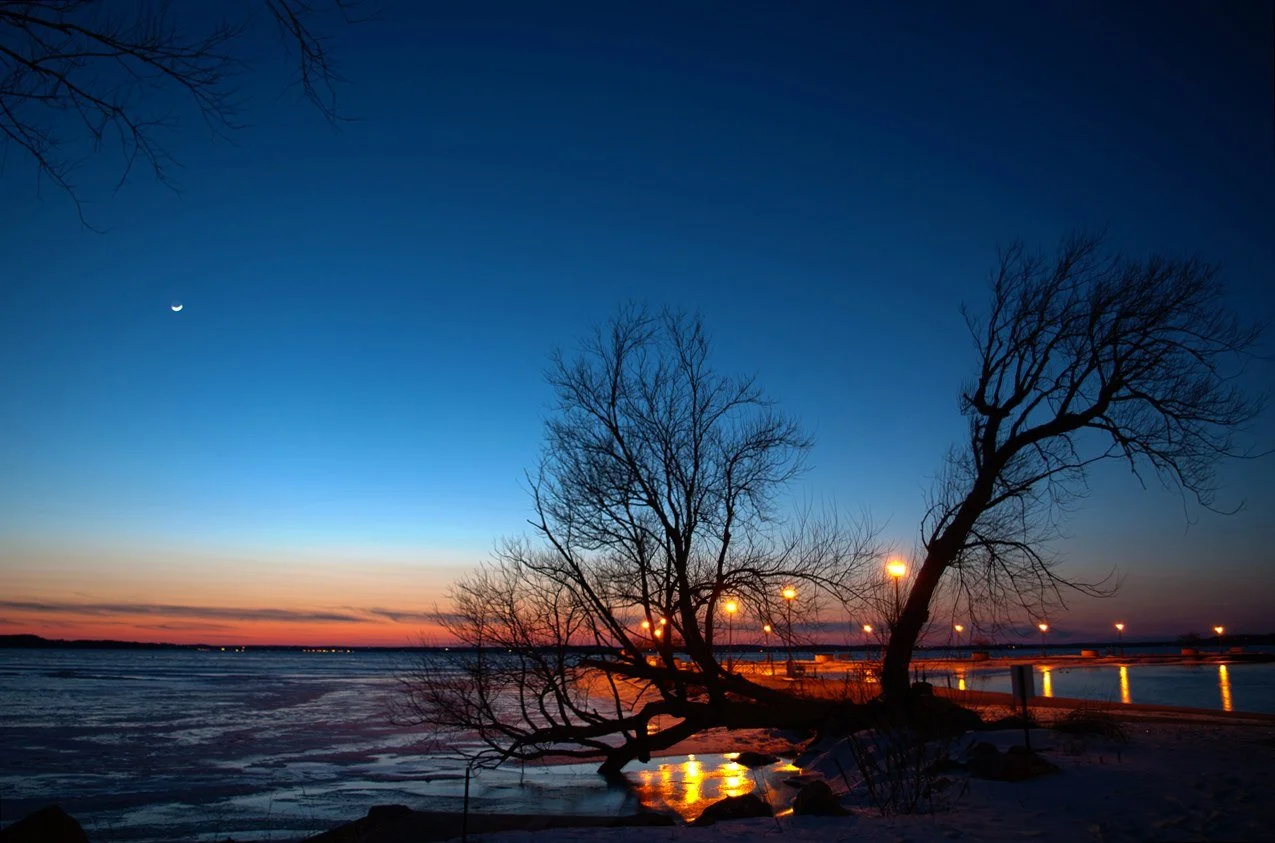 moon ice tenney FB.jpeg