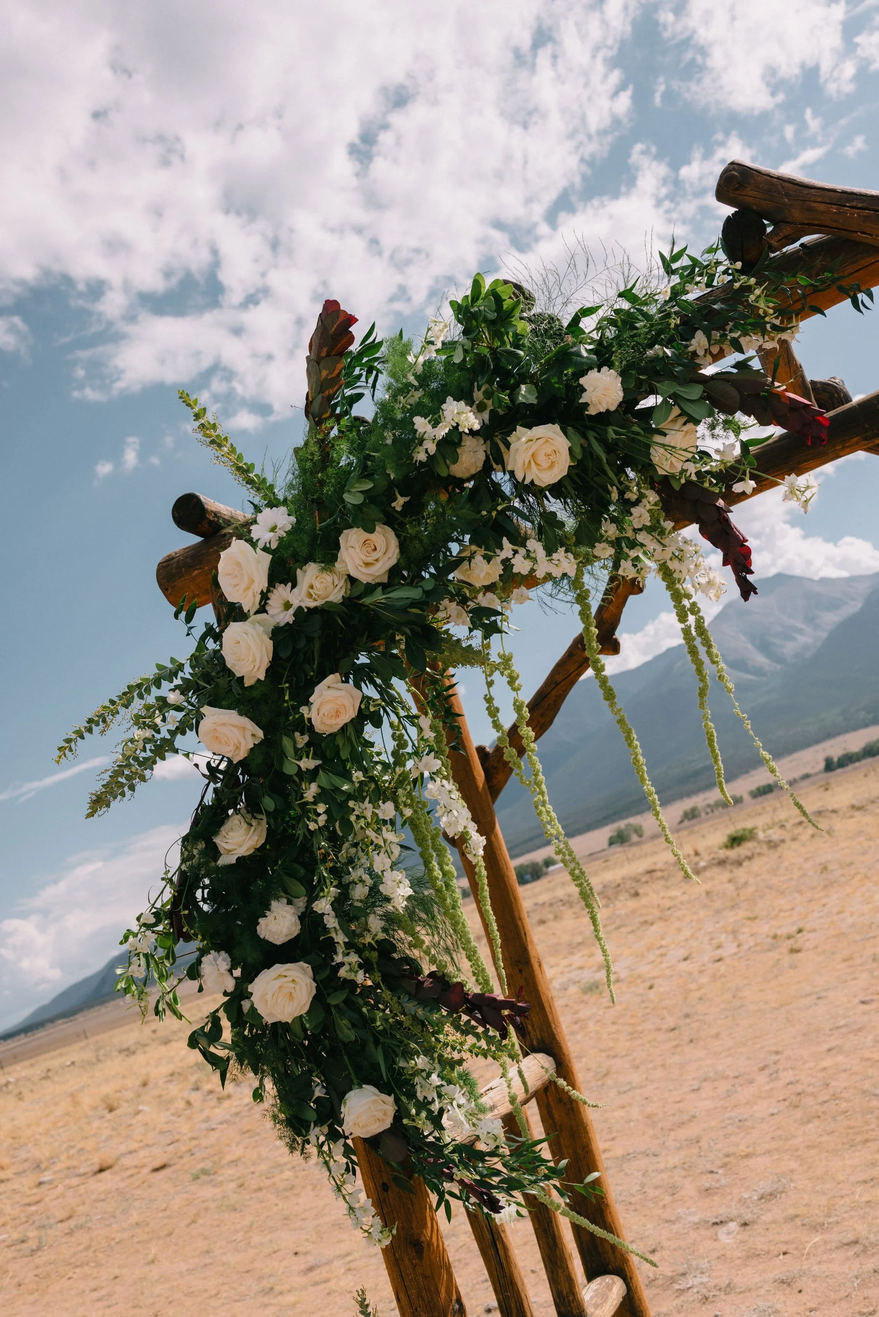Colorado-Wedding-Photographer-Buena-Vista-AS_HCS2876.jpg
