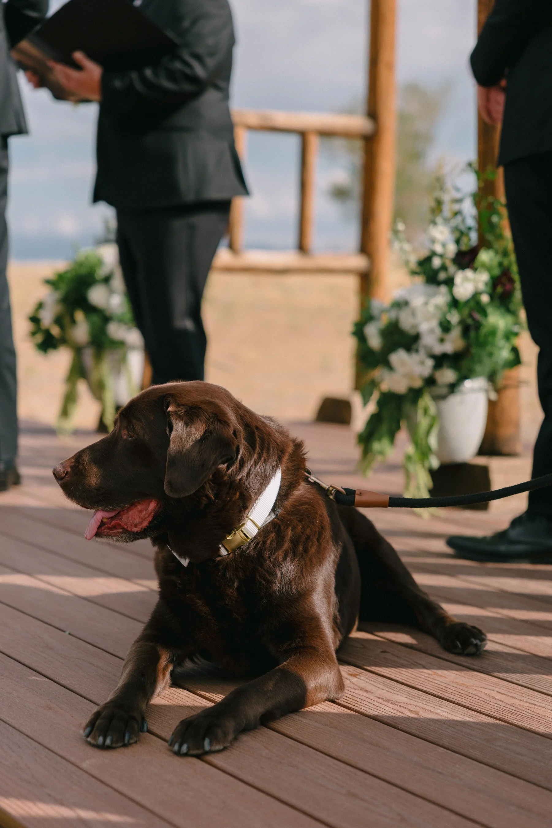 Colorado-Wedding-Photographer-Buena-Vista-AS_HCS9134.jpg