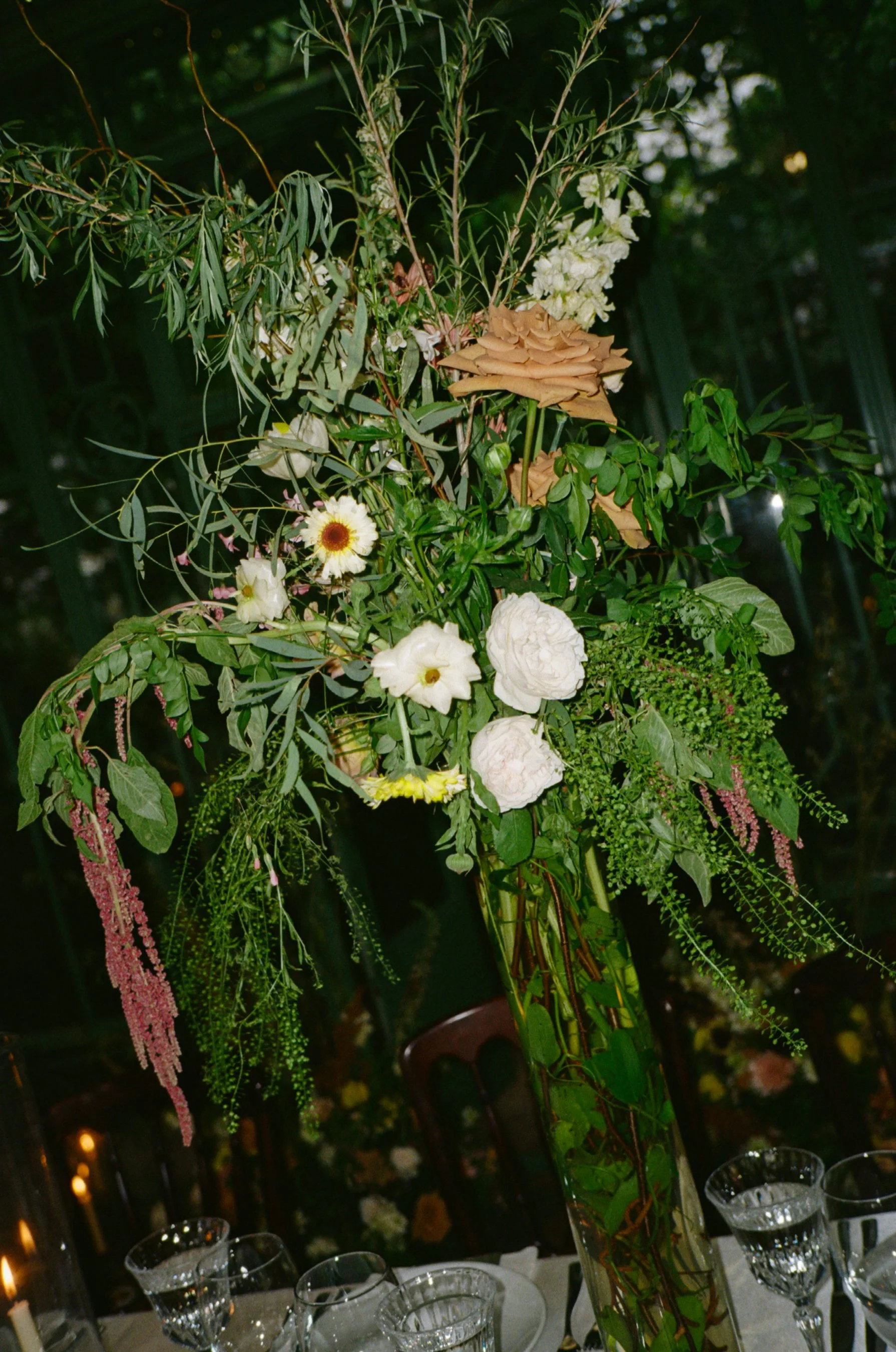 Harper-Creative-Studio-Crissy-Jake-2026_HCS27.jpg