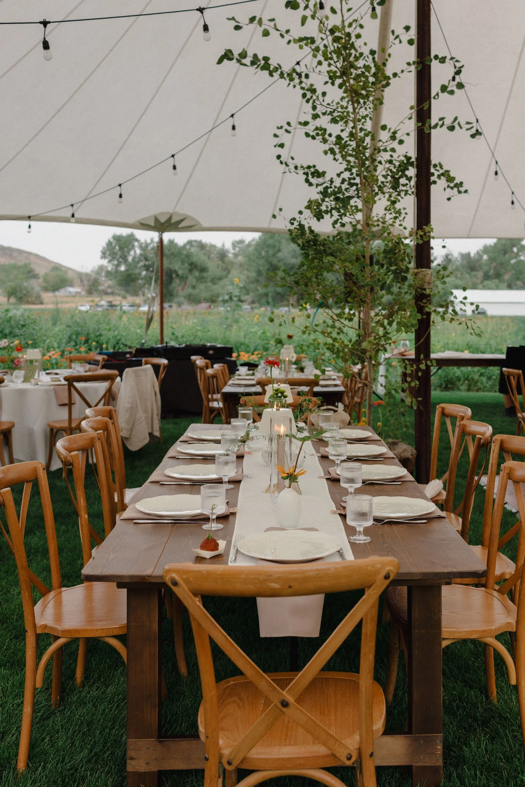 Cotswolds-Wedding-Photographer-UK_HCS2750.jpg