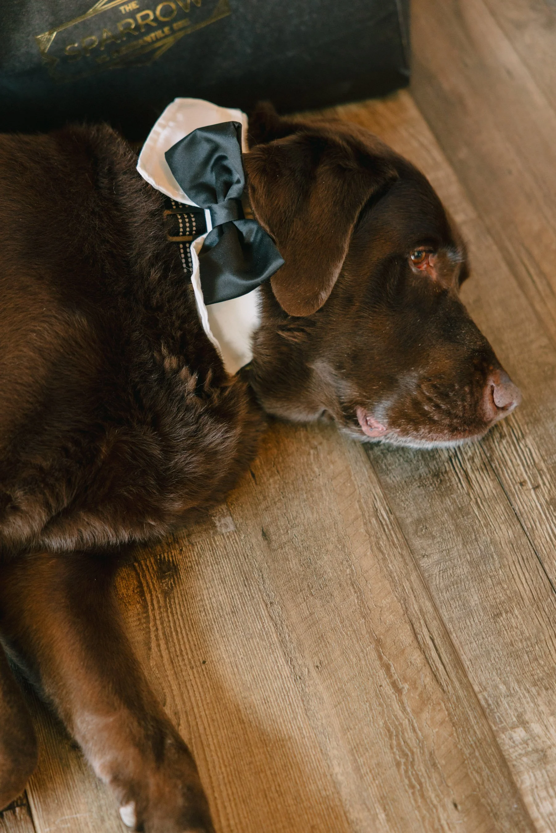Colorado-Wedding-Photographer-Buena-Vista-AS_HCS8559.jpg