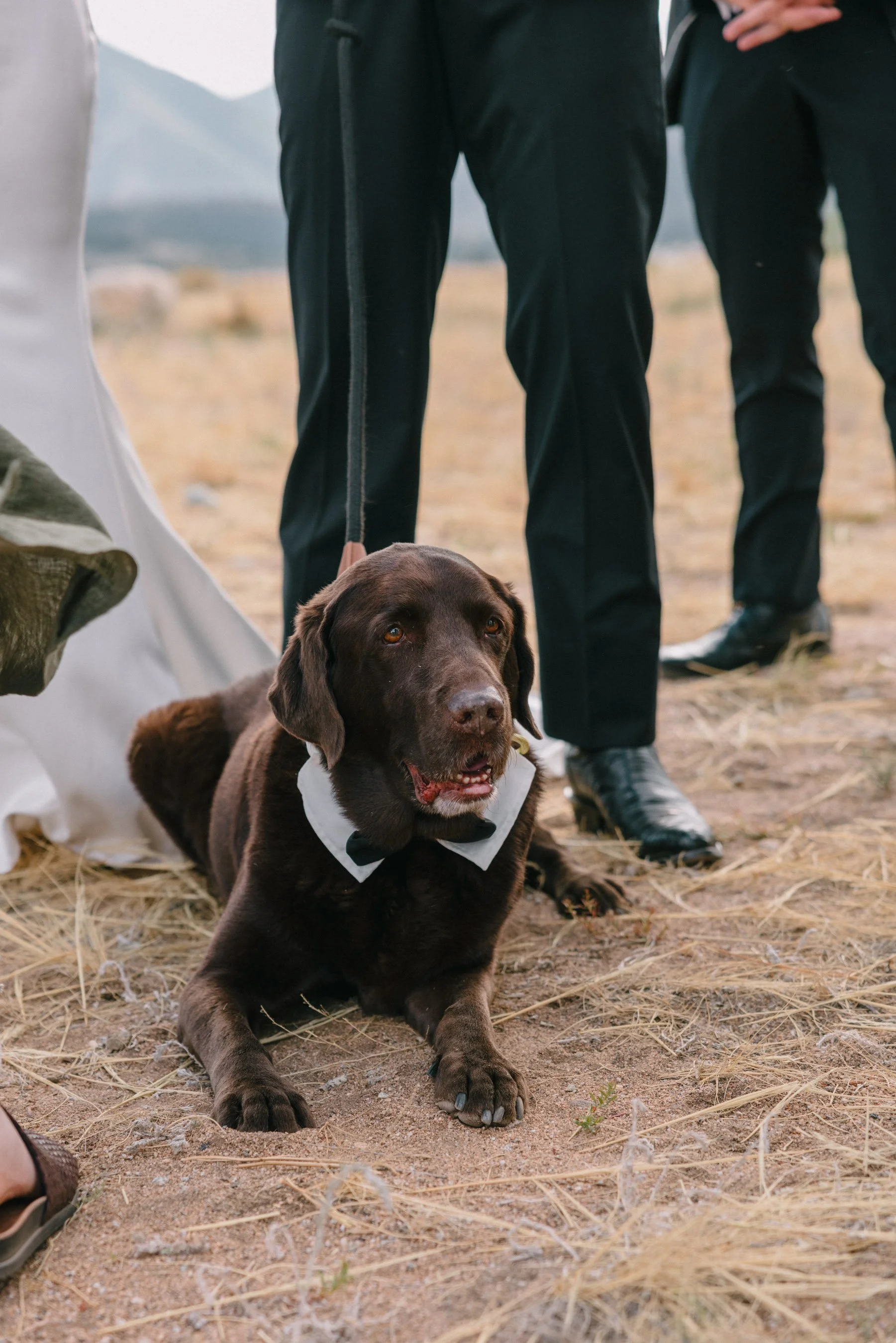 Colorado-Wedding-Photographer-Buena-Vista-AS_HCS9946.jpg