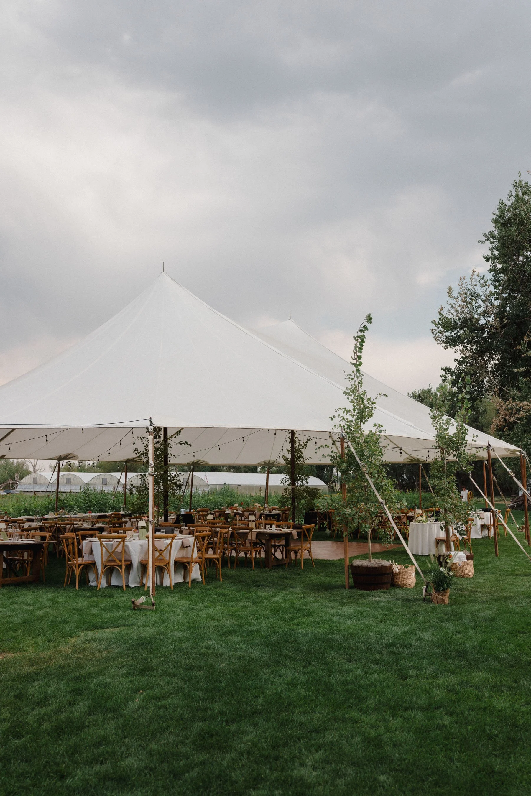 Cotswolds-Wedding-Photographer-UK_HCS2743.jpg