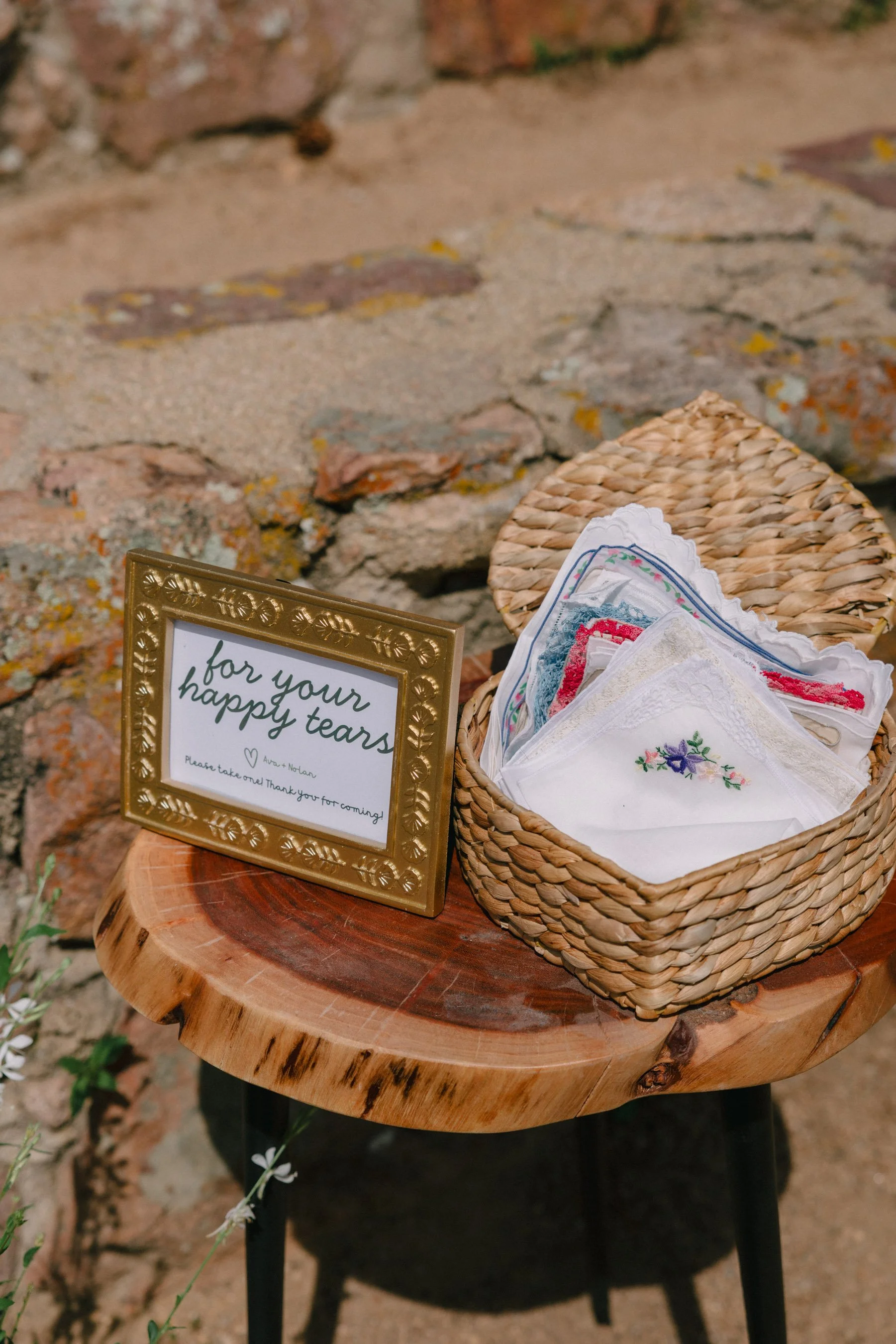 Colorado-Wedding-Photographer-Ava-Nolan_HCS5360.jpg
