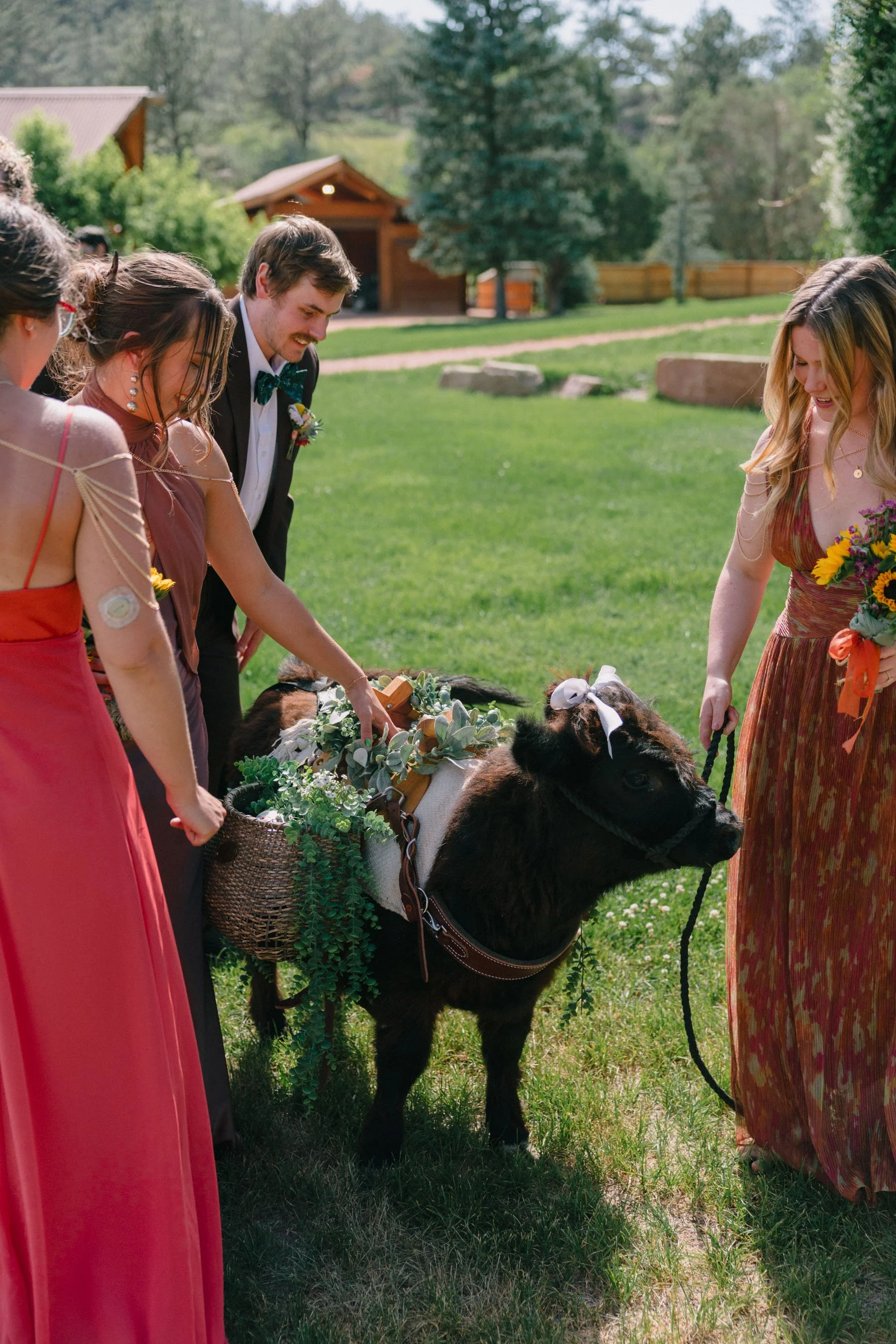 Colorado-Film-Wedding-Photographer-Planet-Bluegrass-ko_HCS7430.jpg
