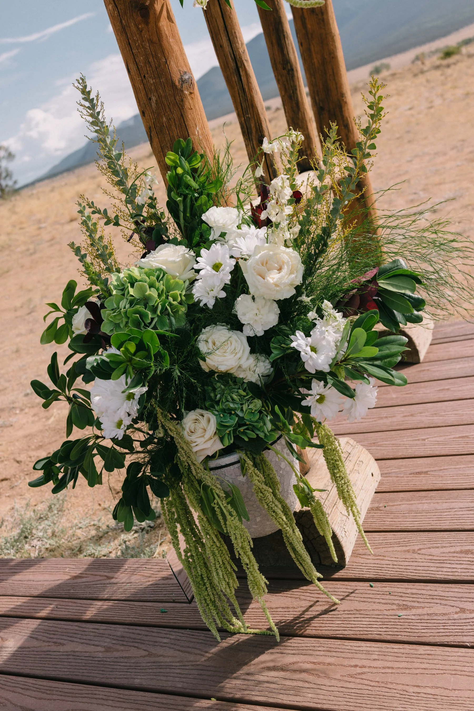 Colorado-Wedding-Photographer-Buena-Vista-AS_HCS2884.jpg