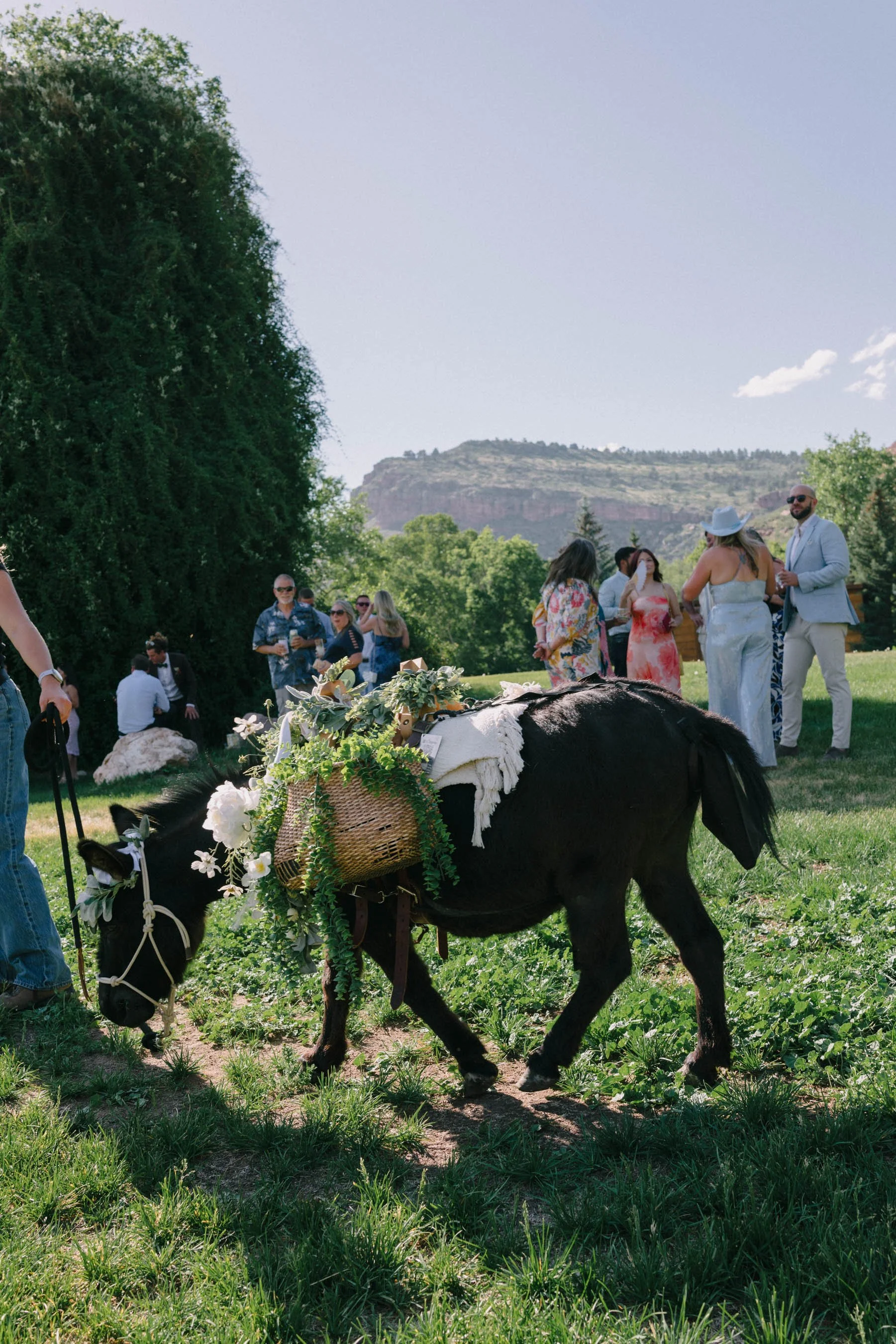 Colorado-Film-Wedding-Photographer-Planet-Bluegrass-ko_HCS5565.jpg