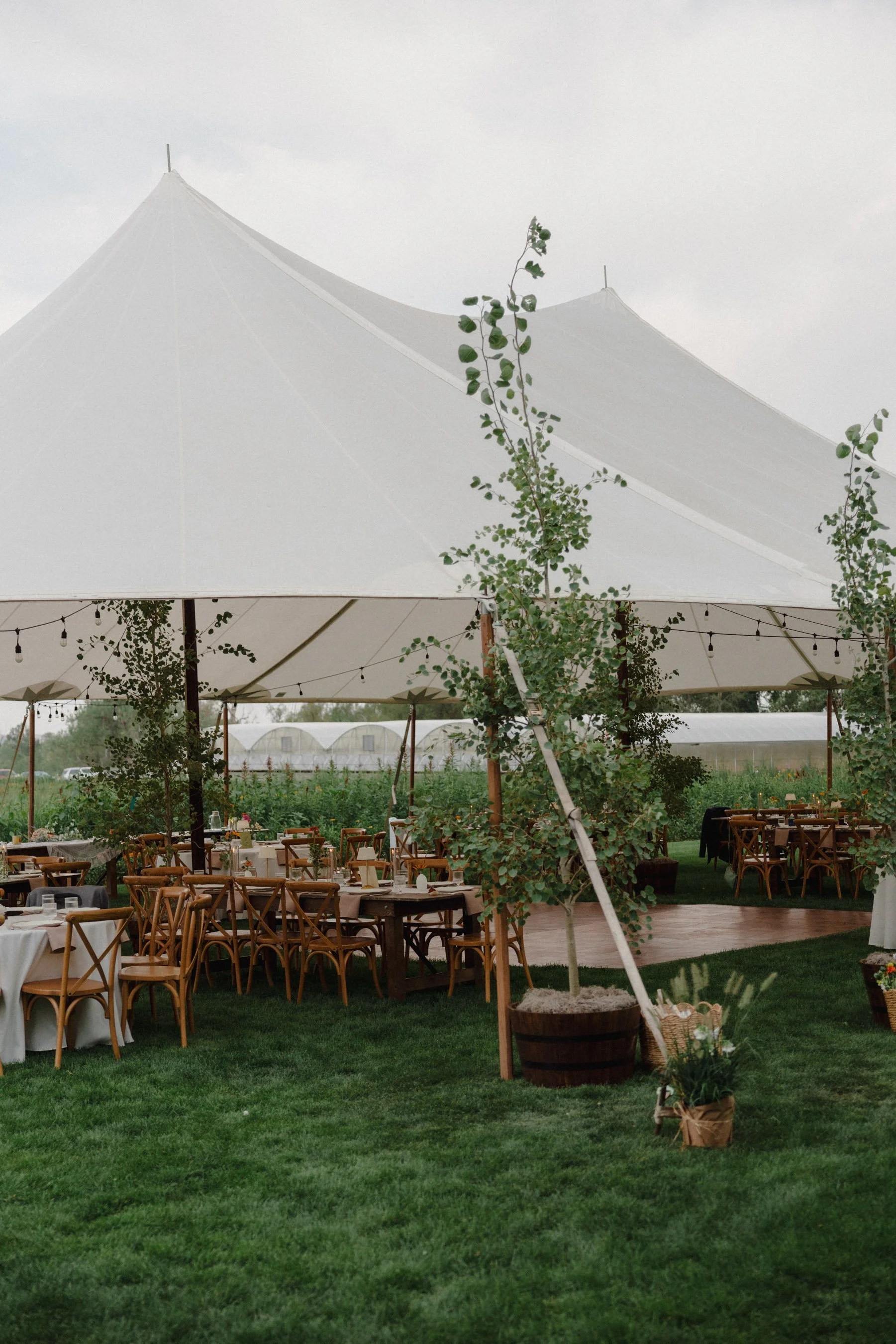 Cotswolds-Wedding-Photographer-UK_HCS5782.jpg
