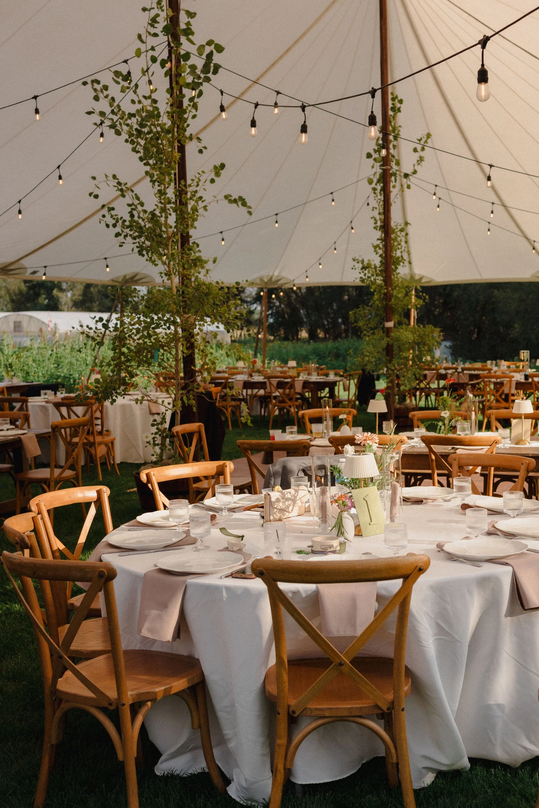 Cotswolds-Wedding-Photographer-UK_HCS2770.jpg