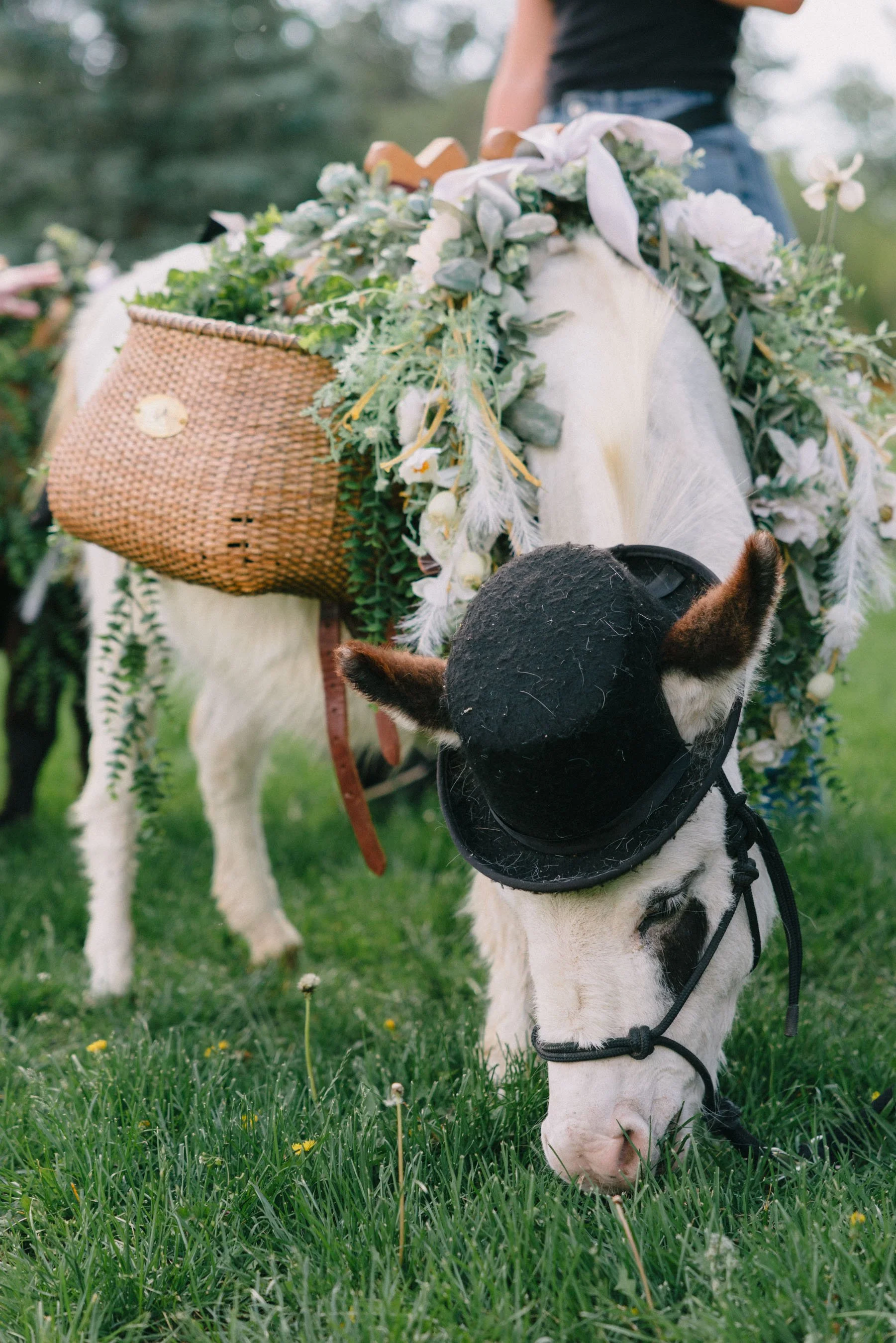 Colorado-Film-Wedding-Photographer-Planet-Bluegrass-ko_HCS7446.jpg