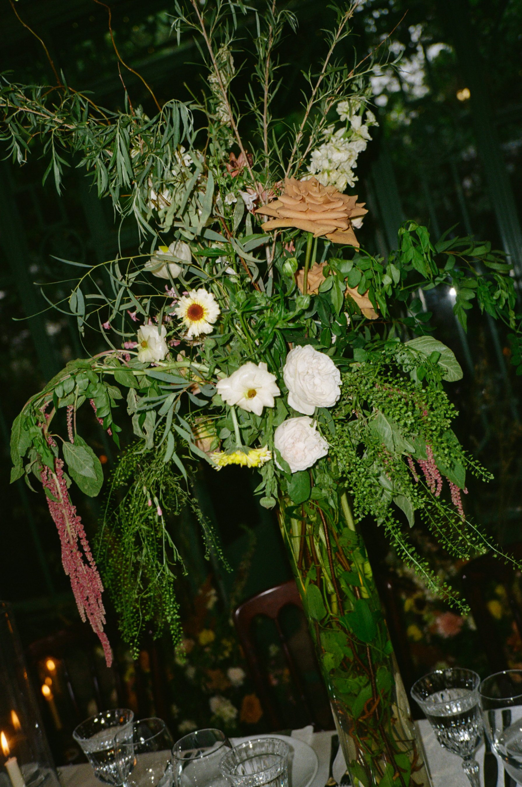 Harper-Creative-Studio-Crissy-Jake-2026_HCS27.jpg