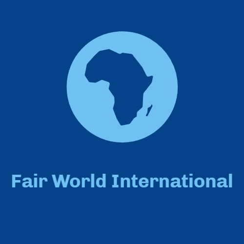 Improving Tanzania Foundation Mid-Year Yearly Financial Report