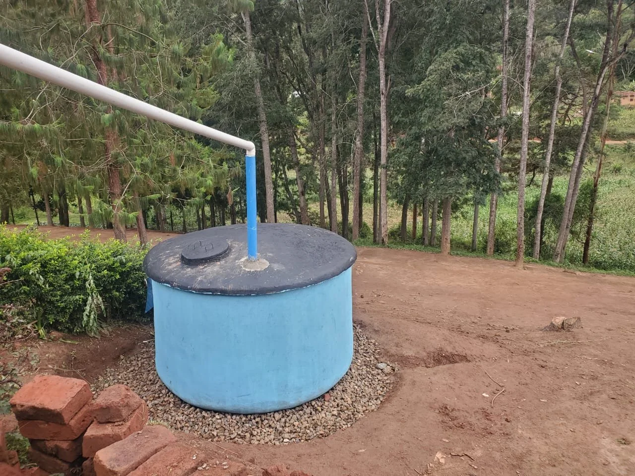 WhatsApp Image 2026-03-06 at 05.51.58.jpeg