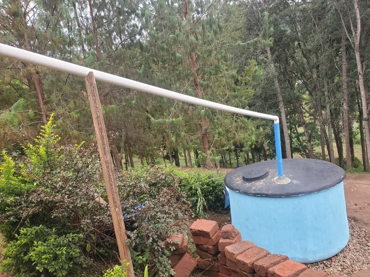 WhatsApp Image 2026-03-06 at 05.51.57.jpeg