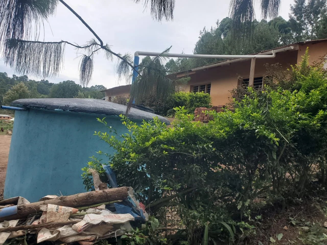 WhatsApp Image 2026-03-06 at 05.51.578.jpeg