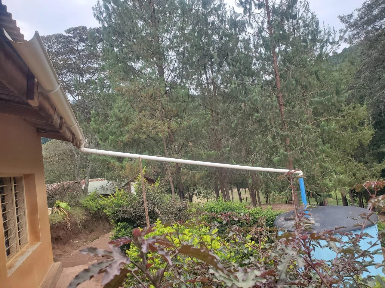 WhatsApp Image 2026-03-06 at 05.51.588.jpeg