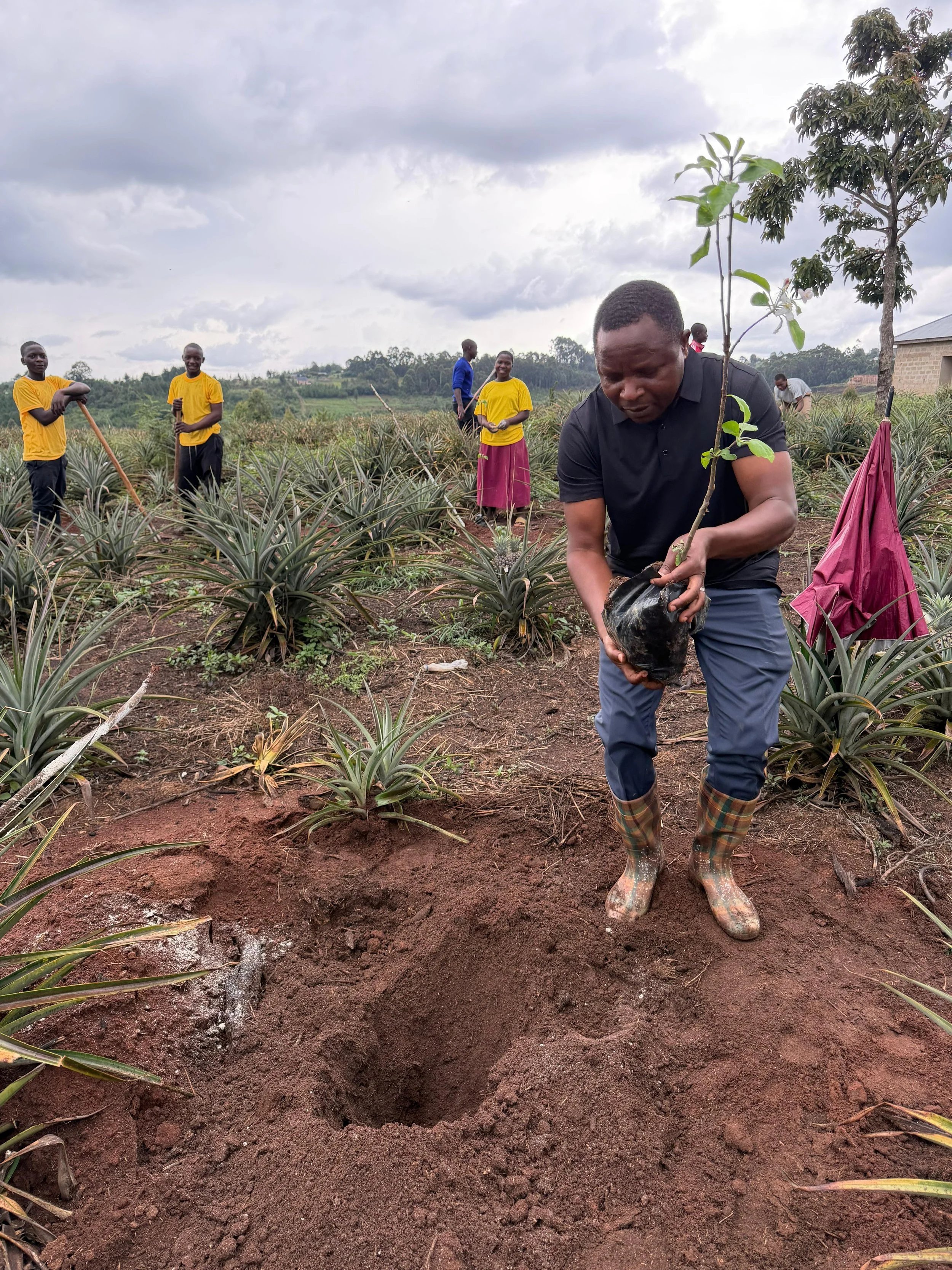 WhatsApp Image 2026-03-06 at 06.00.44.jpeg